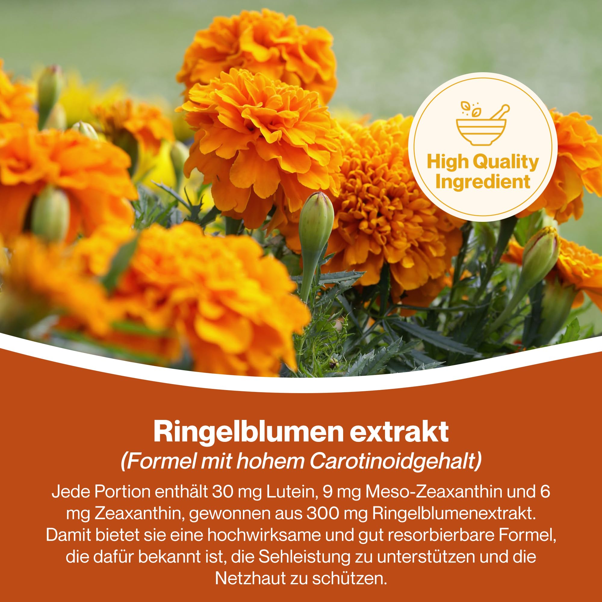 Hepatica Lutein | 30 mg, Zeaxanthin 6 mg & Meso-Zeaxanthin 9 mg | aus Ringelblumen-Extrakt 300 mg | 120 vegane Kapseln | Tagetes erecta | GMP & Laborgeprüft