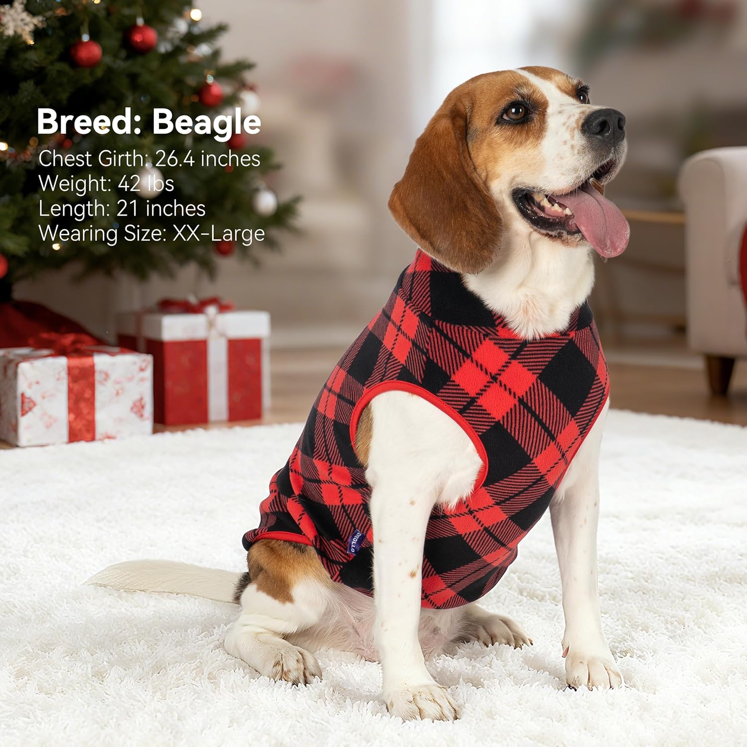 Keep Your Pup Cozy: Review of the cyeollo Reflective Dog Fleece Sweater