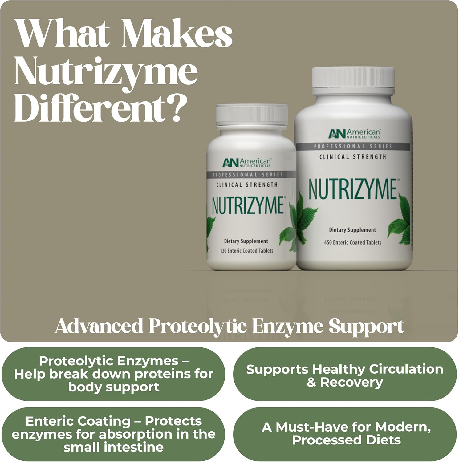 American Nutriceuticals - Nutrizyme Proteolytic Enzymes Tablets - 450 Count (1 Pack)