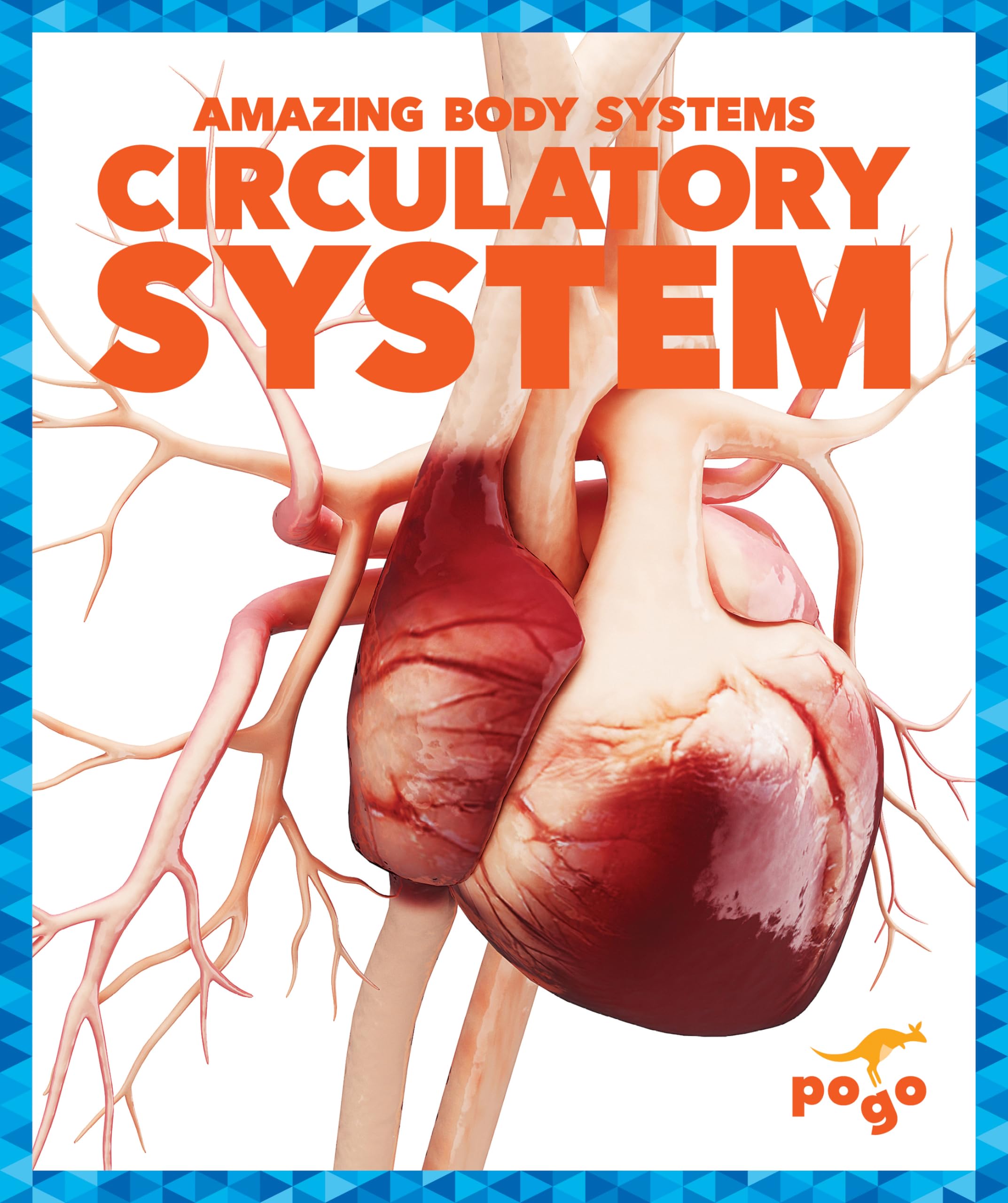 Circulatory System (Amazing Body Systems)