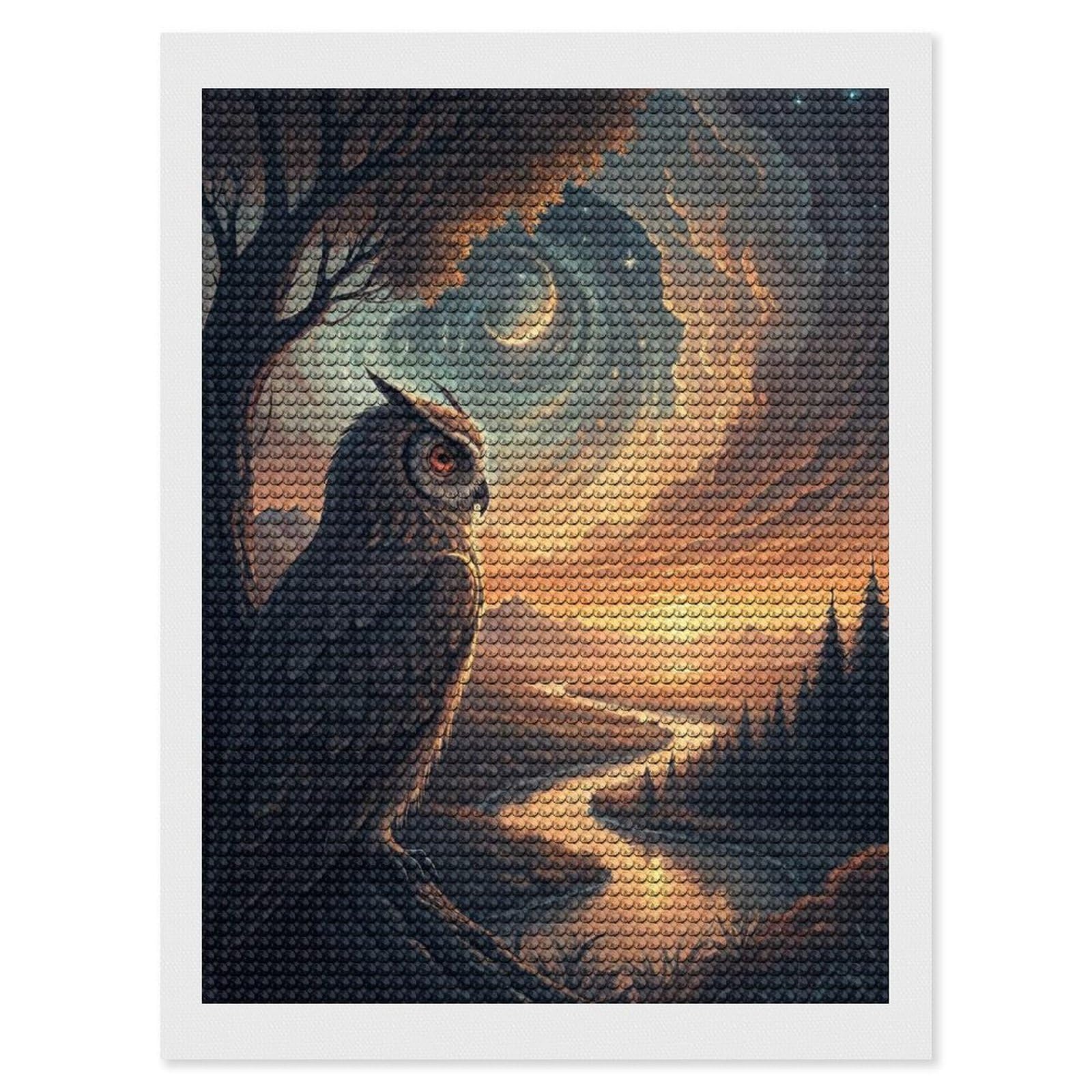 Junmoney Majestic Owl Overlooking A Serene Landscape Diamond Art Kit 12"x16", for Beginners, Vintage Style Decor, Good for Quiet Evenings, Festive Craft Gift