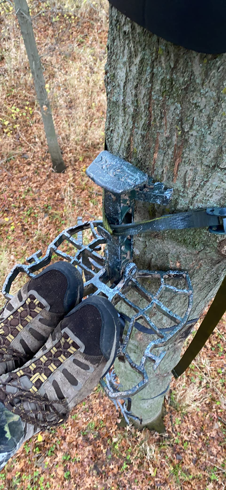 25/mo Finance XOPXTREME OUTDOOR PRODUCTS Edge Tree Saddle Platform