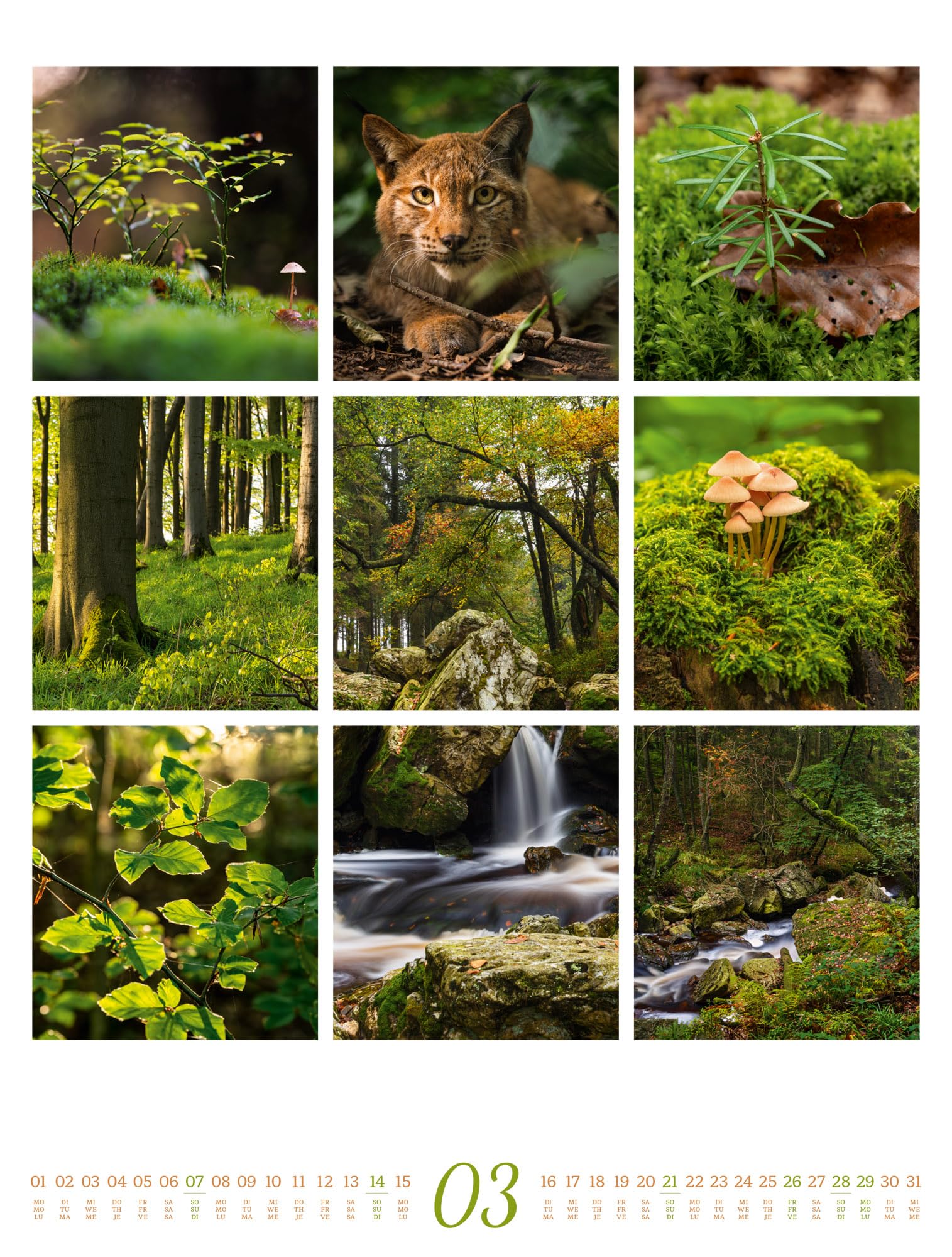 Inspiration Natur Kalender 2027: Vielfältiger Natur-Kalender im großen Hochformat (50x66 cm) | Mehrteilige Bildmosaike im Triplet-Stil