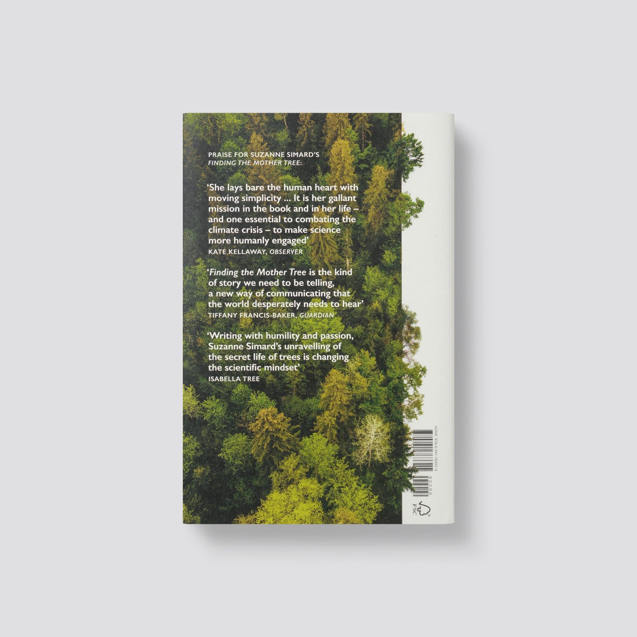 When the Forest Breathes: Renewal and Resilience in the Natural World