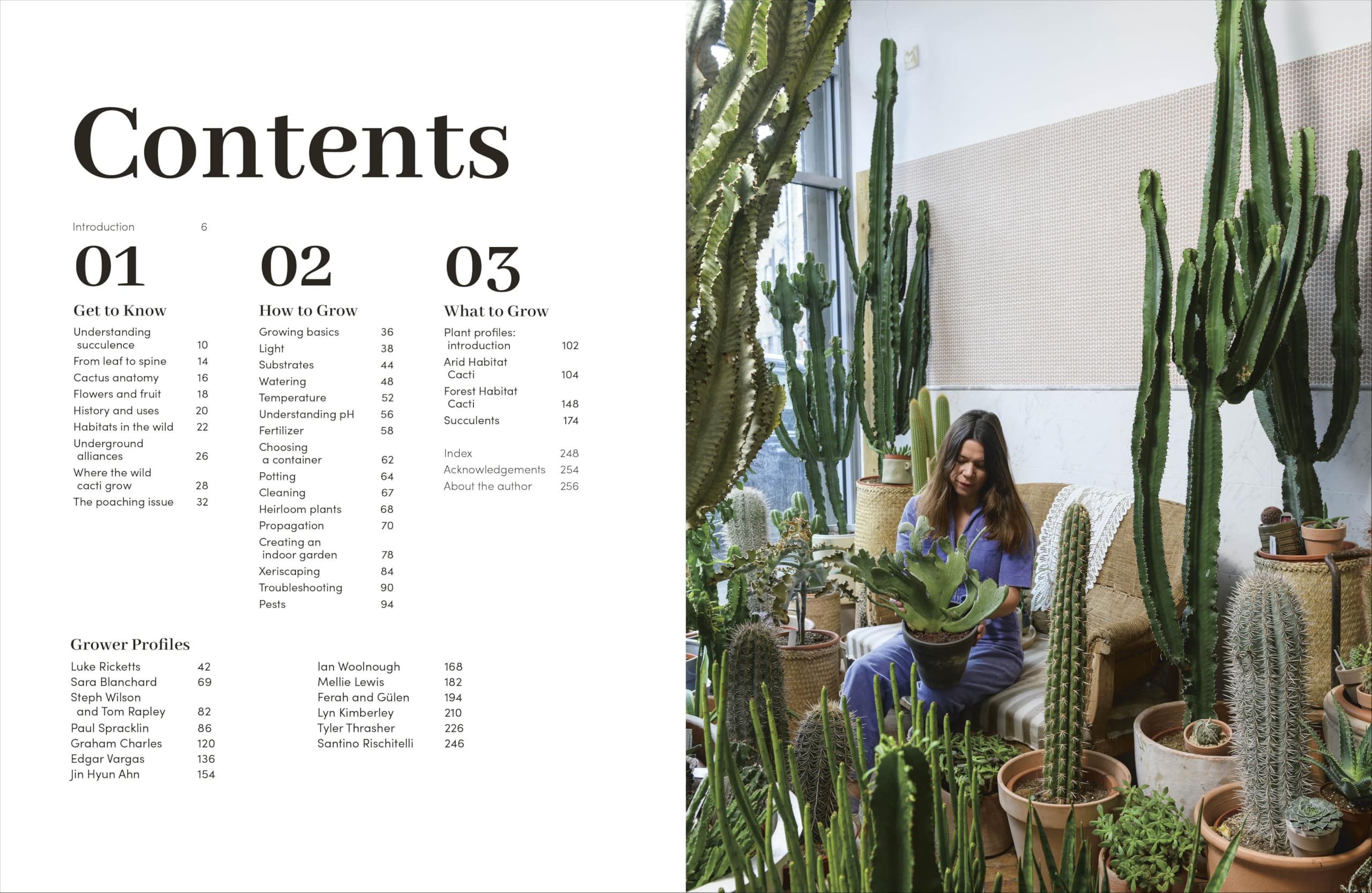 Cacti and Succulents: The Plant Rescuer's On-point Advice to Keep Your Plants Looking Sharp