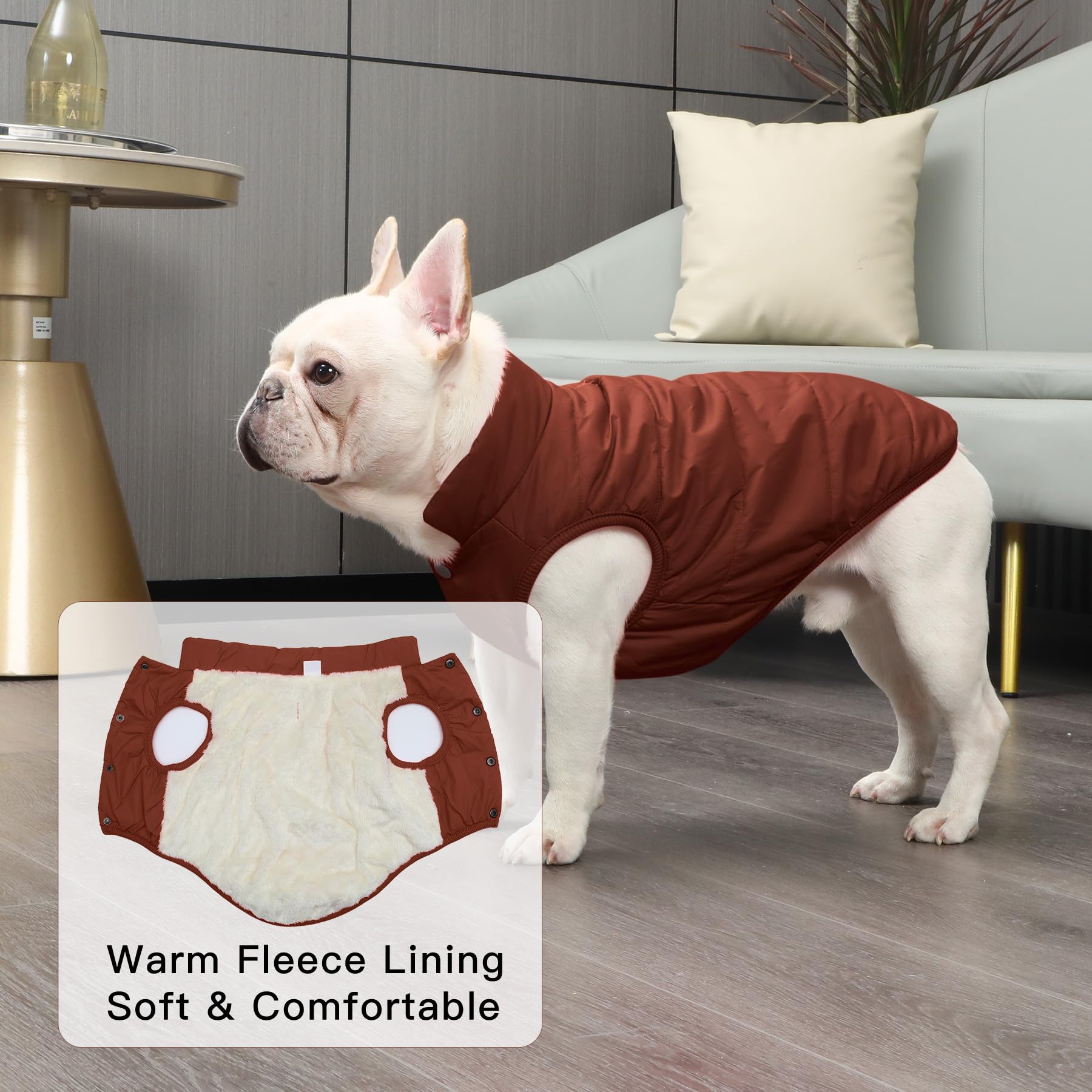 JoyDaog, giacca per cani, a 2 strati, foderata in pile, super calda e molto morbida, ideale per il freddo e per l’inverno, gilet antivento per cani