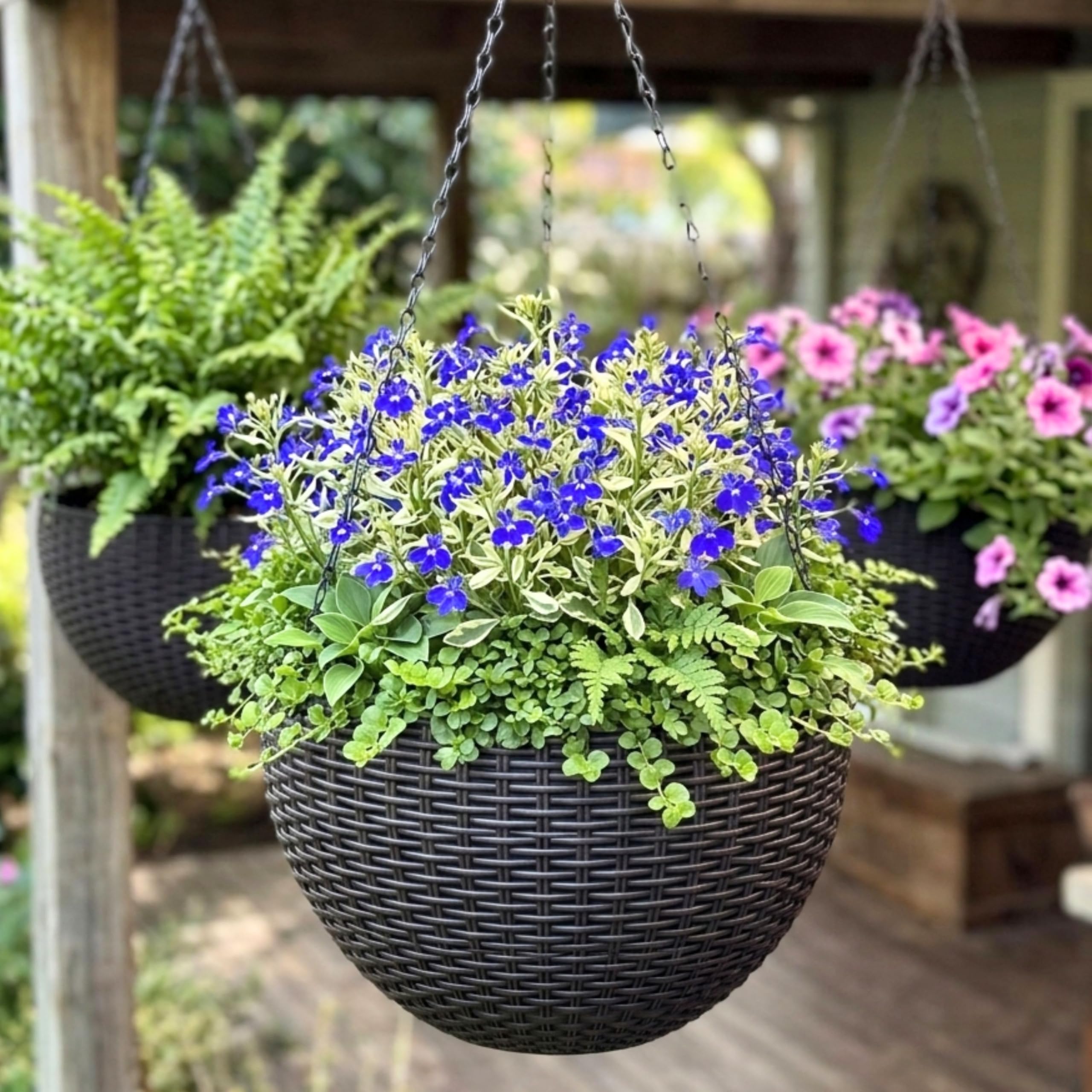 LáLáGreen Vaso Sospeso Autoirrigante da 28 cm con Indicatore del Livello dell'Acqua, Fioriera Rotonda Effetto Rattan con Catena in Metallo per Balcone, Giardino e Terrazza (3)