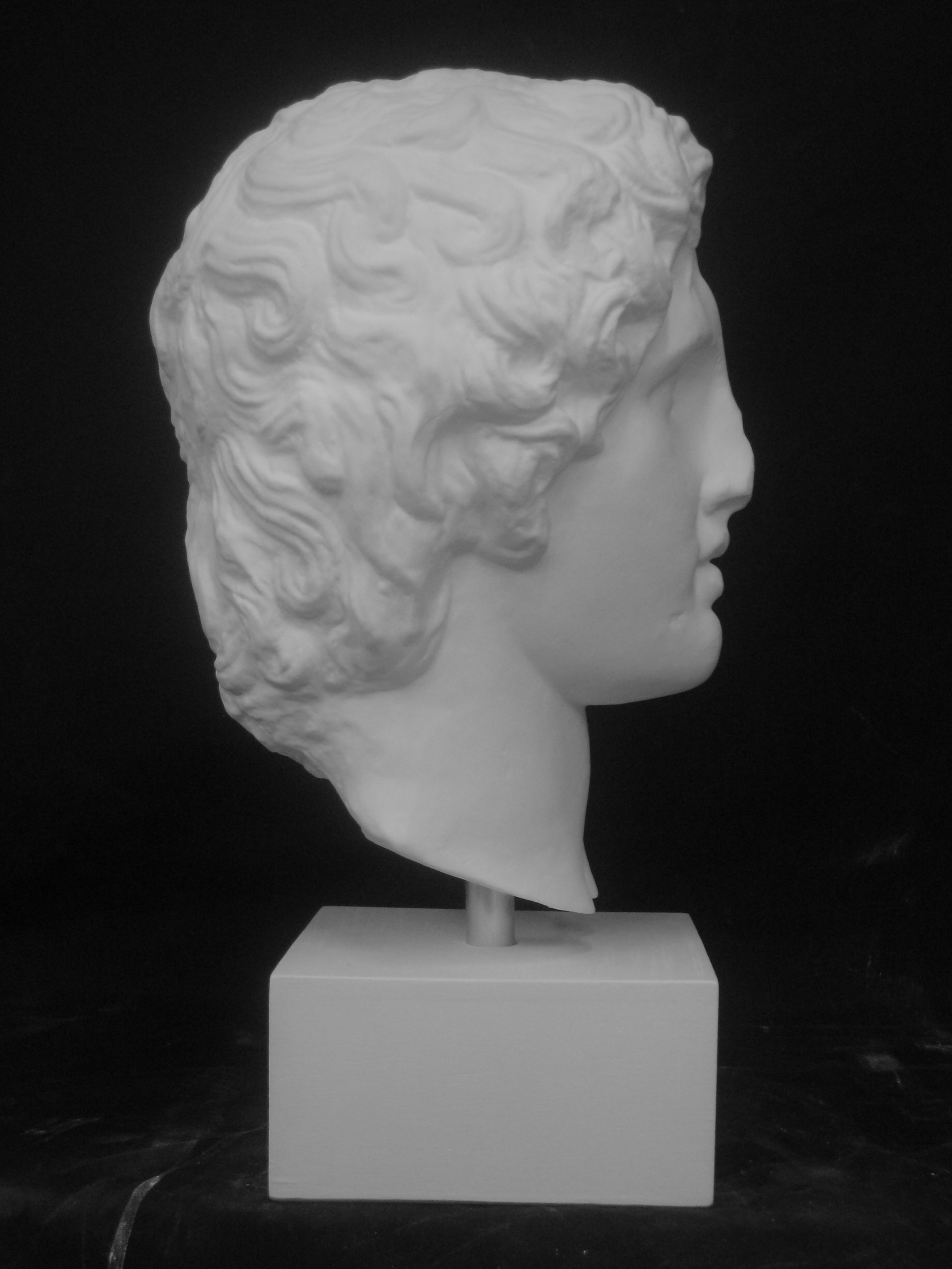 Amazon.co.jp: 石膏像 S－207 アレキサンダー大王首像 H