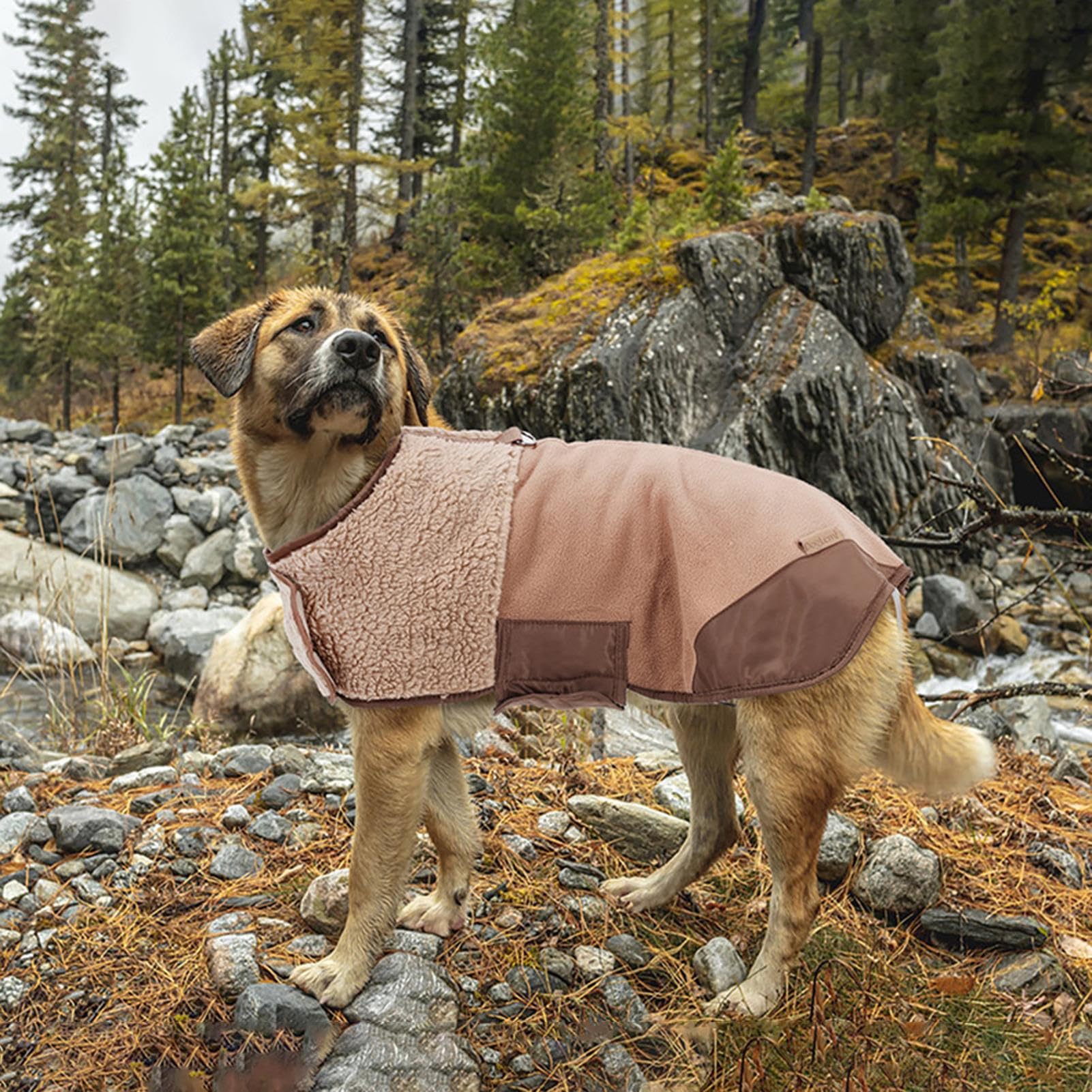 Cappotto Invernale per Cani Indumento Regolabile Per Clima Freddo Per | Giacchetto per Animali Domestici per Clima Freddo Per Taglie Piccole E Grandi, Cuccioli, Per Interno Ed Es