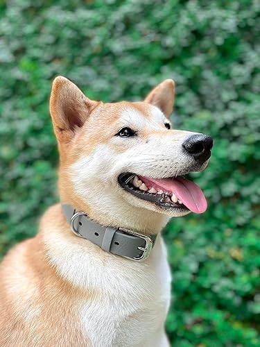 Miniatura 7 de Tuff Pupper Collar de perro clásico resistente  10 veces más fuerte que el cuero  Collar de perro 100% impermeable y a prueba de olores  Herrajes