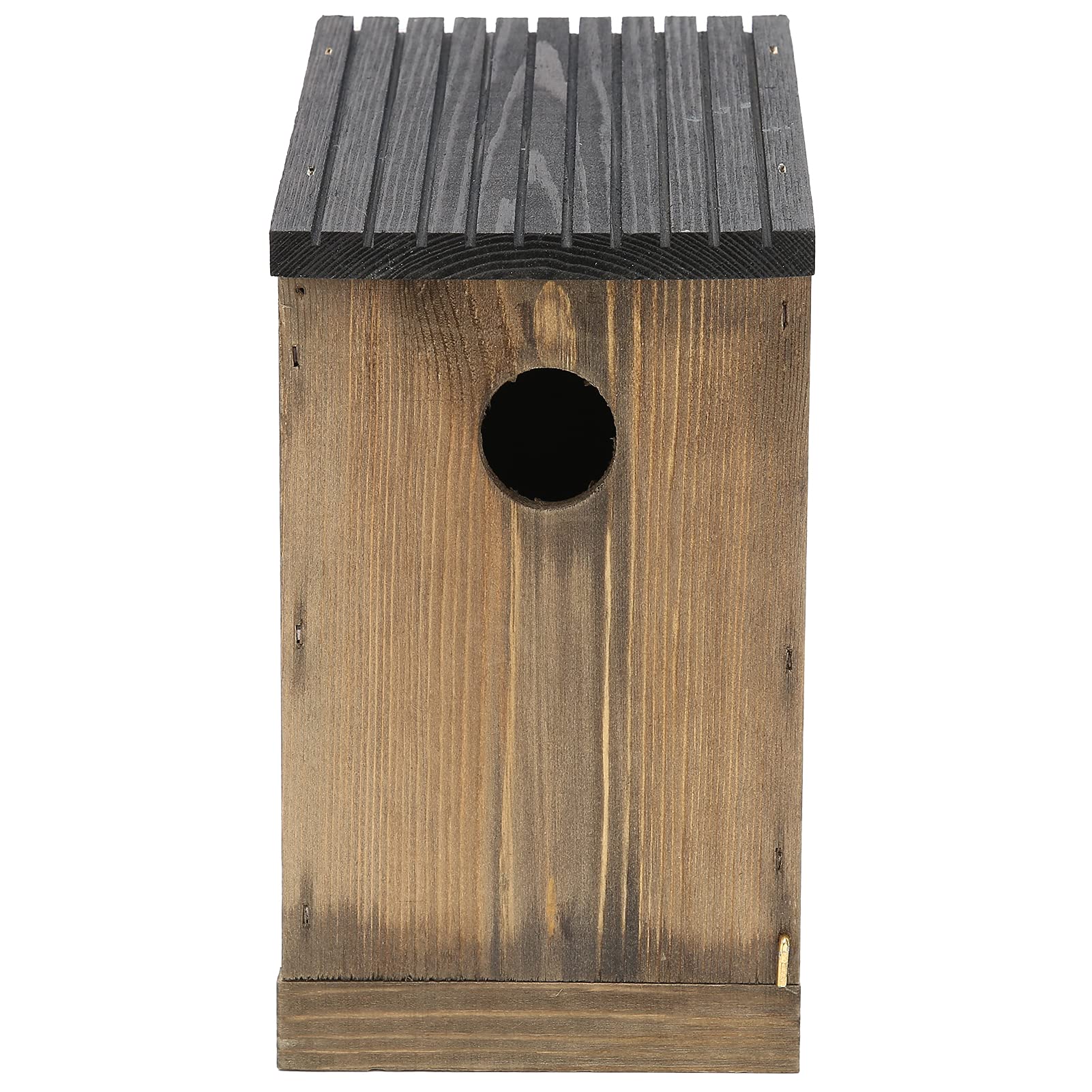 Nichoir pour oiseaux bleus en bois de pin avec ventilation pour cour