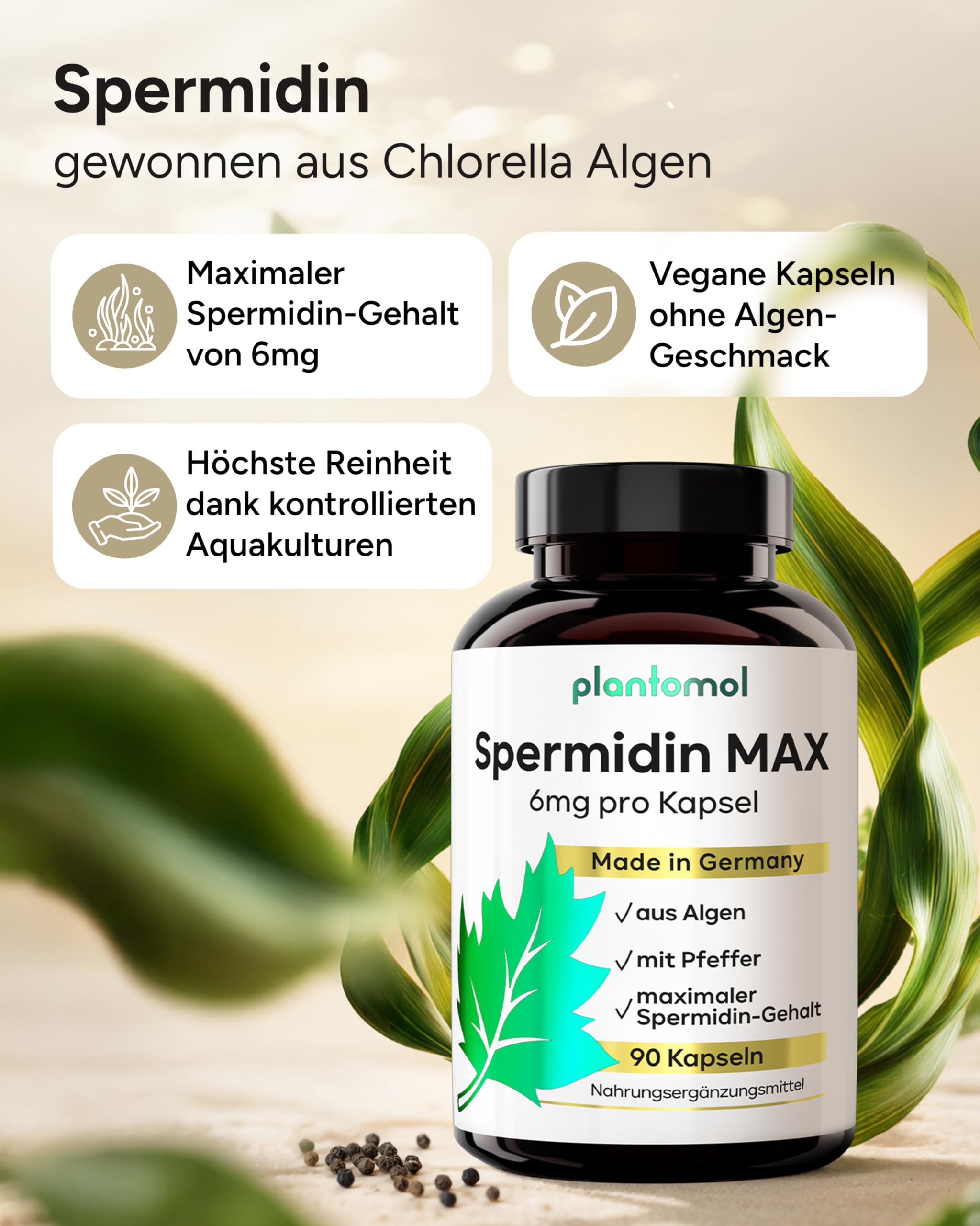Spermidin Kapseln hochdosiert - Spermidin 6mg pro Kapsel - Spermidine Gehalt durch externes Labor bestätigt - SpermidinMAX - 3 Monatsvorrat