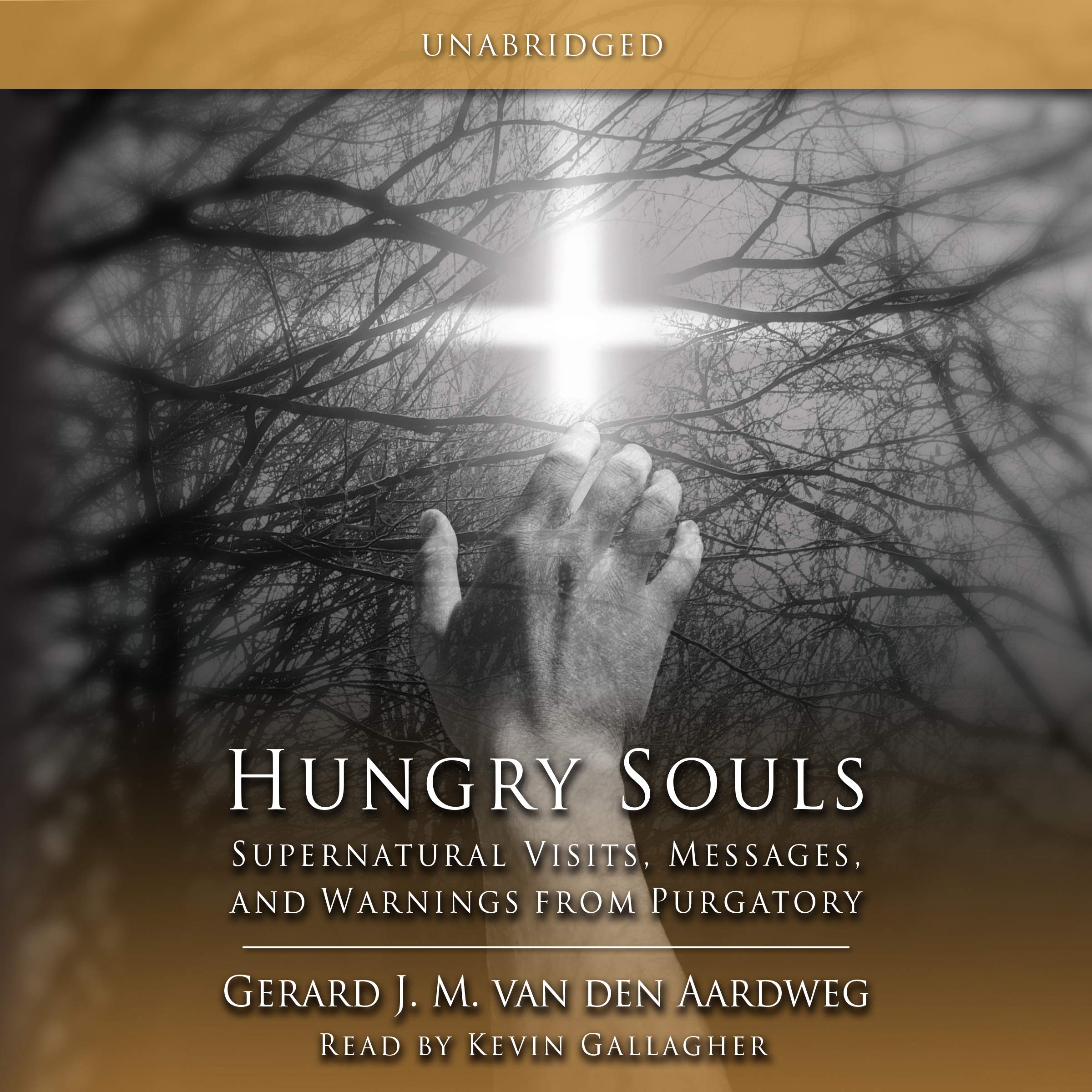 Cover art for Hungry Souls: Supernatural Visits, Messages and Warnings from Purgatory