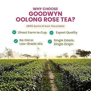 Goodwyn Oolong Rose Tea Loose Leaf Black Tea 50 Cups (100g / 3.5 oz) | Oolong Herbal Tea, Medium Caffeine Premium Black Tea with Real Rose Petals | Delicate Floral Aroma, Sugar-Free | Luxurious Blend in Reusable Tin | Perfect for Gifting, Indian-Origin Chai