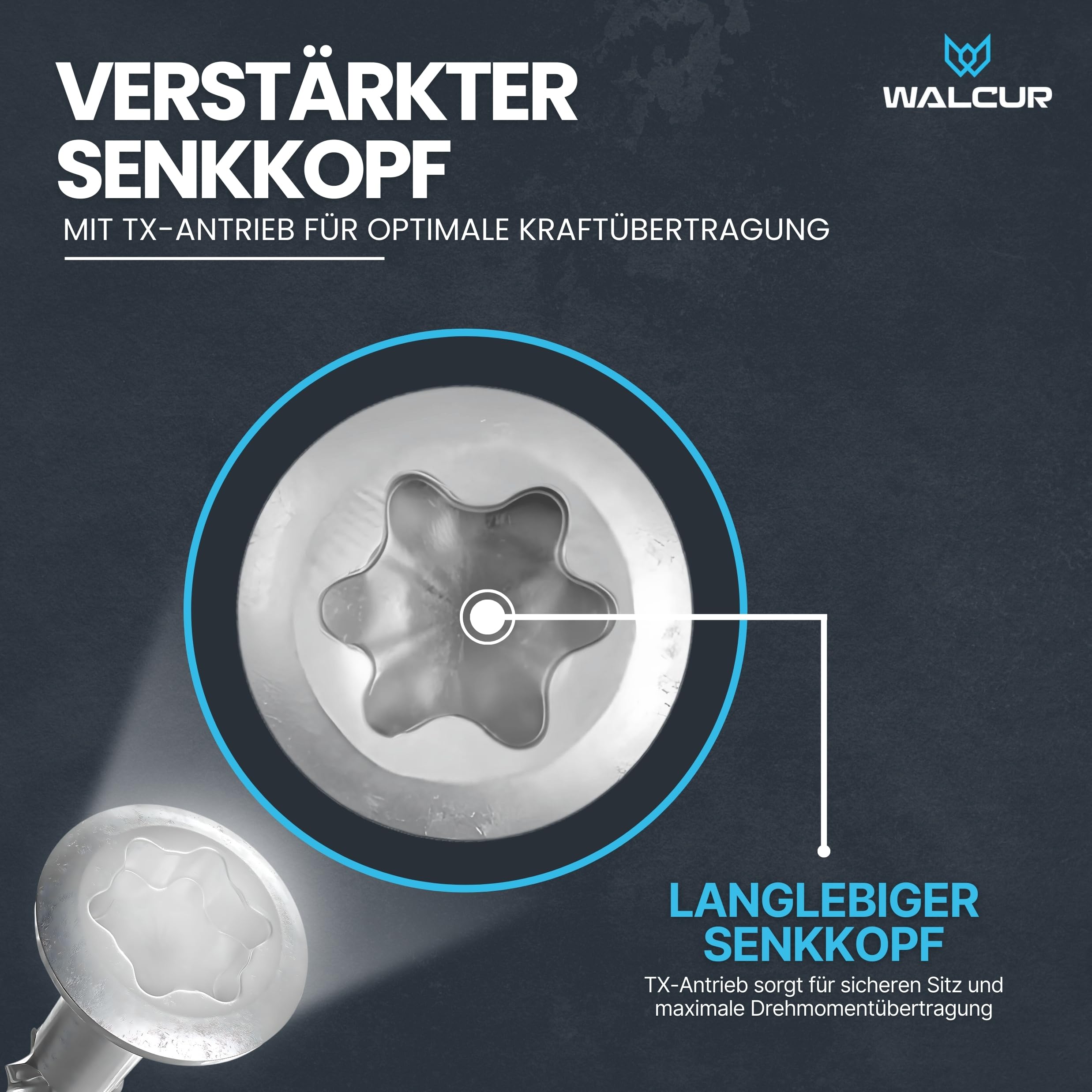 GeZu Impex 1000 Stück Walcur Terassenschrauben 5 x 60 mm Edelstahl Torx + 2 Bits + 1 Bohrer Bohrschrauben Holzschrauben Holzbauschrauben