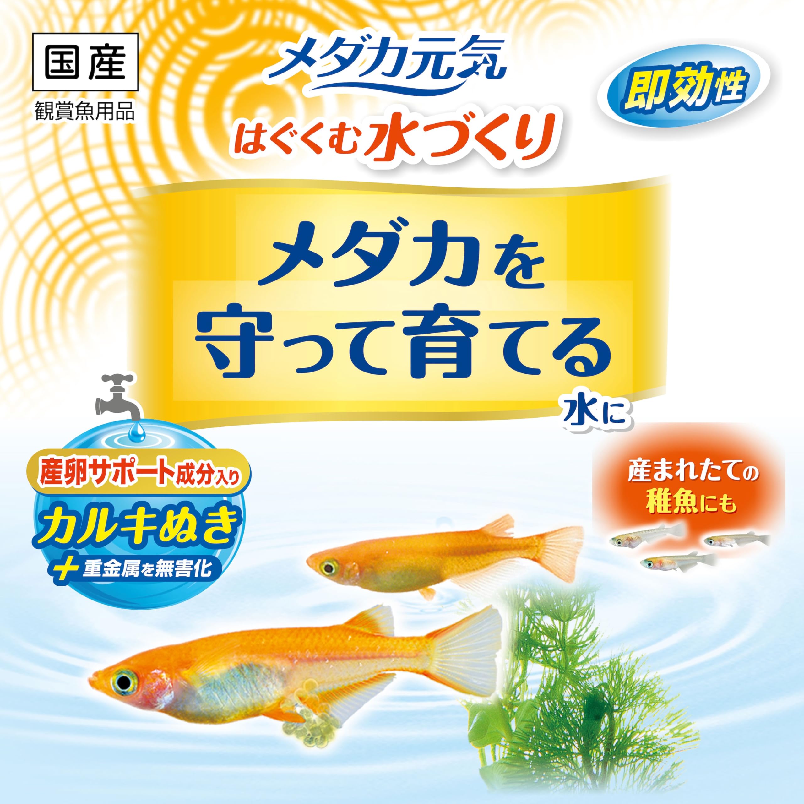 Amazon | ジェックス GEX メダカ元気 はぐくむ水づくり 計量キャップ