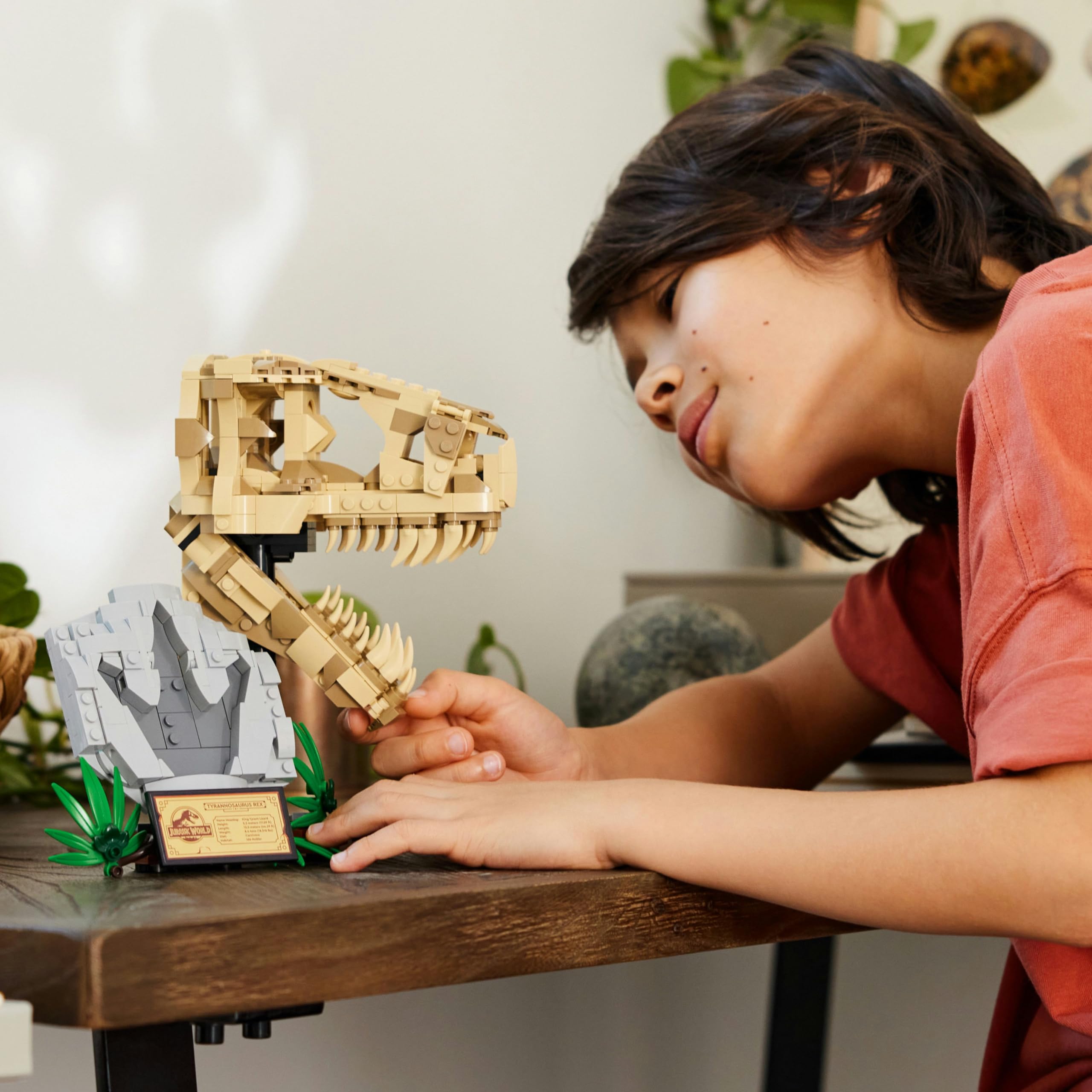 LEGO Jurassic World Dinozor Fosilleri: T. rex Kafatası 76964-9 Yaş