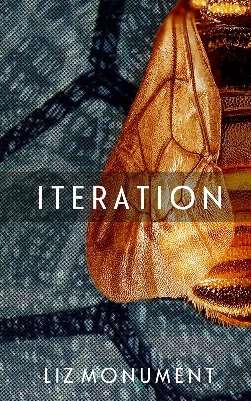 Iteration