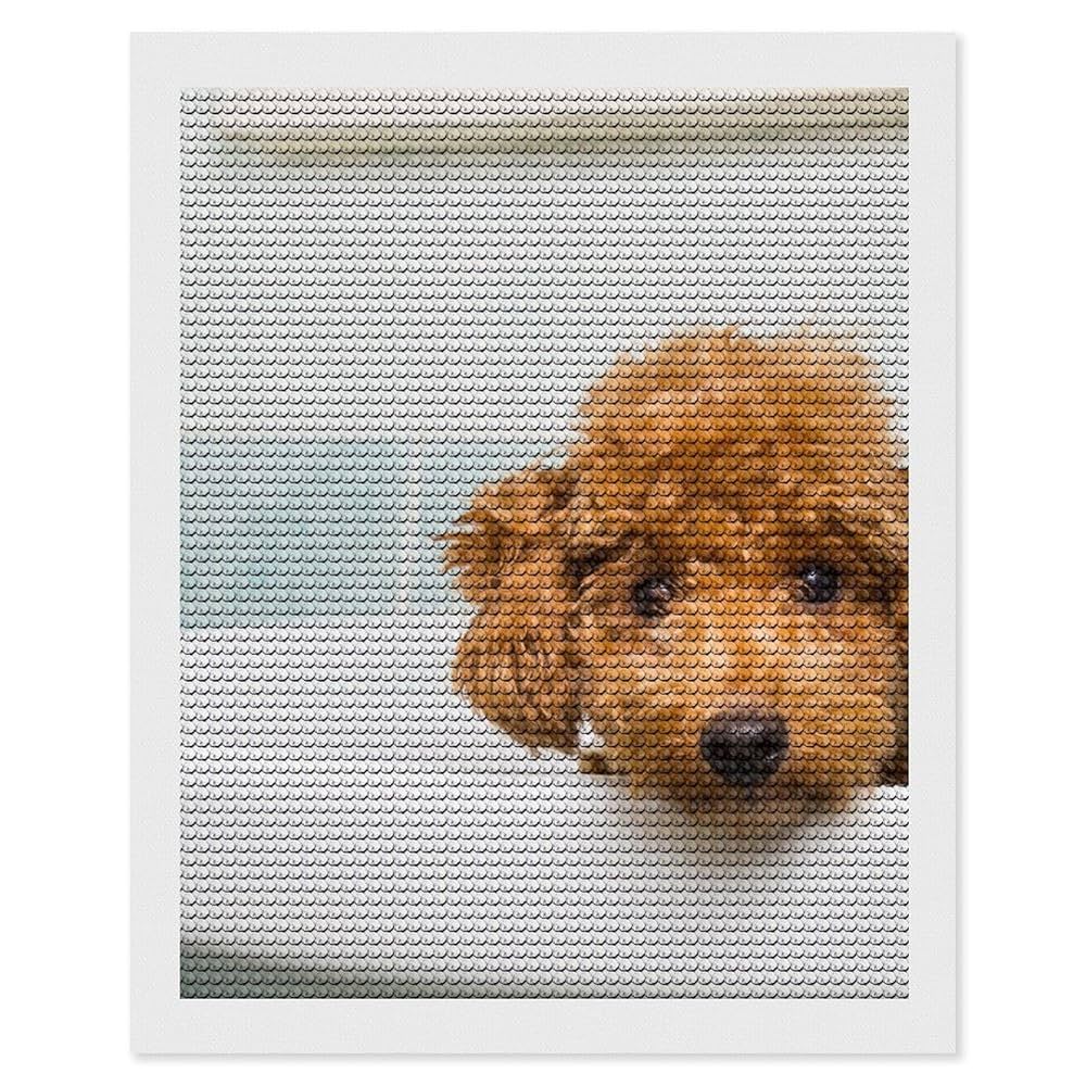 Amazon.co.jp: ダイヤモンドアート トイ・プードル 子犬 (2