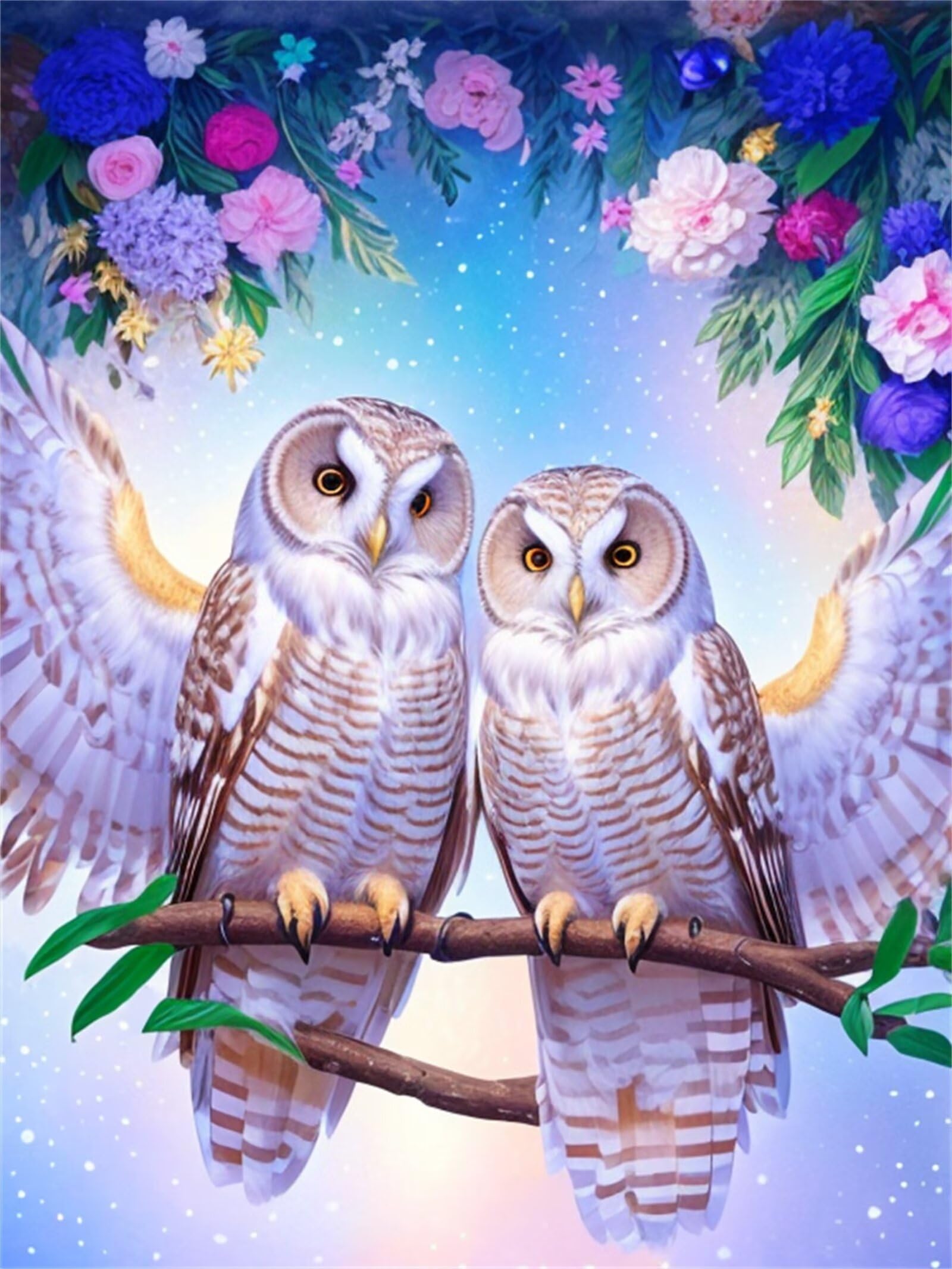 Amazon.co.jp: ダイヤモンドアート フクロウ ダイヤモンドアート