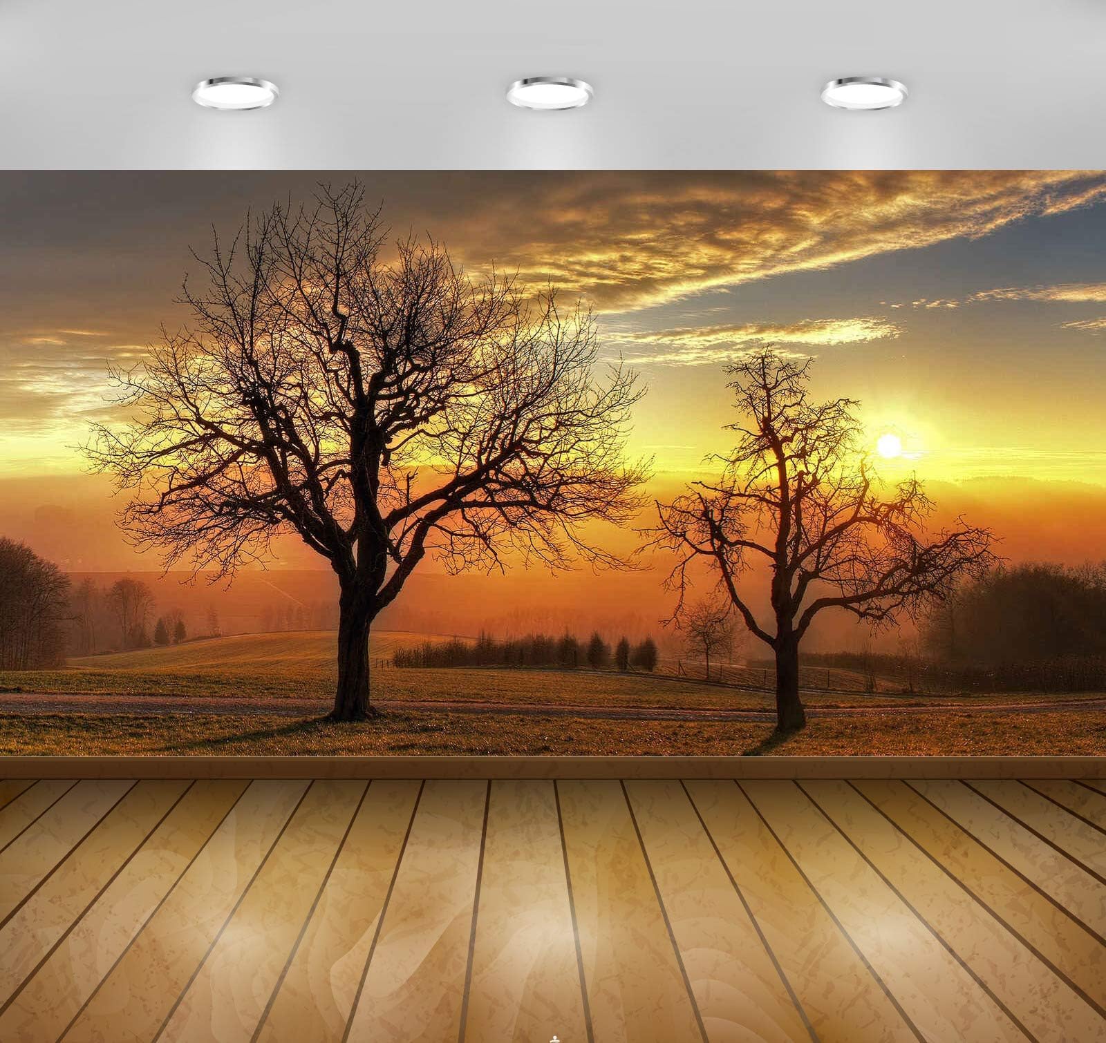 Avikalp Exclusive Awi6481 Sunset Above The Winter Trees Nature Full HD Wallpapers (91cm x 60cm)