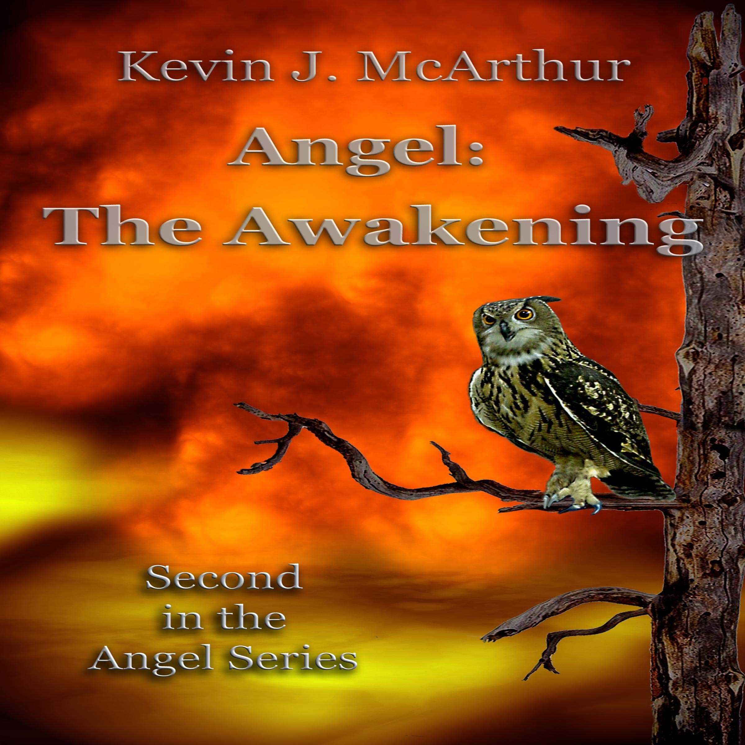 Cover art for Angel: The Awakening