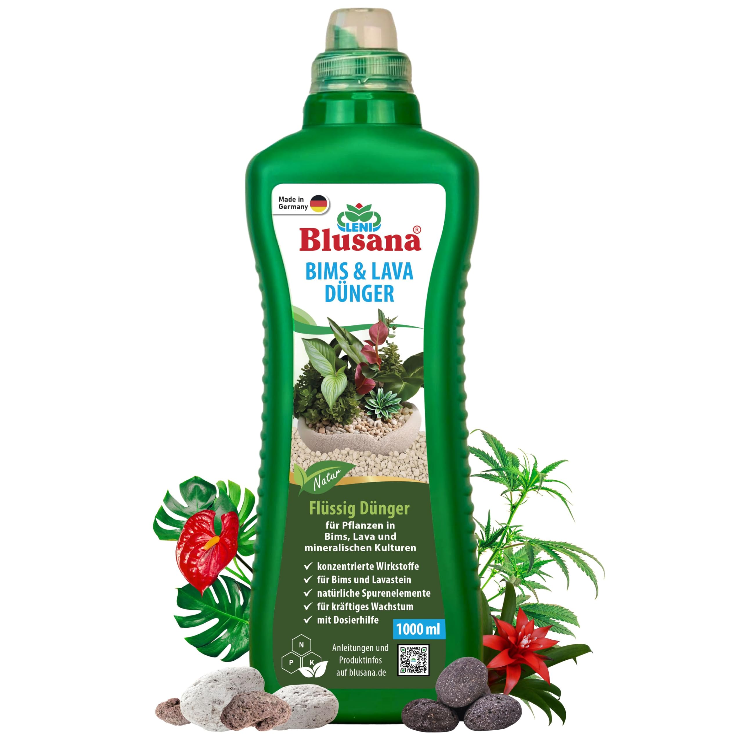 welcher dnger fr ilex crenata Purgrn Ilex-Dnger 1 kg