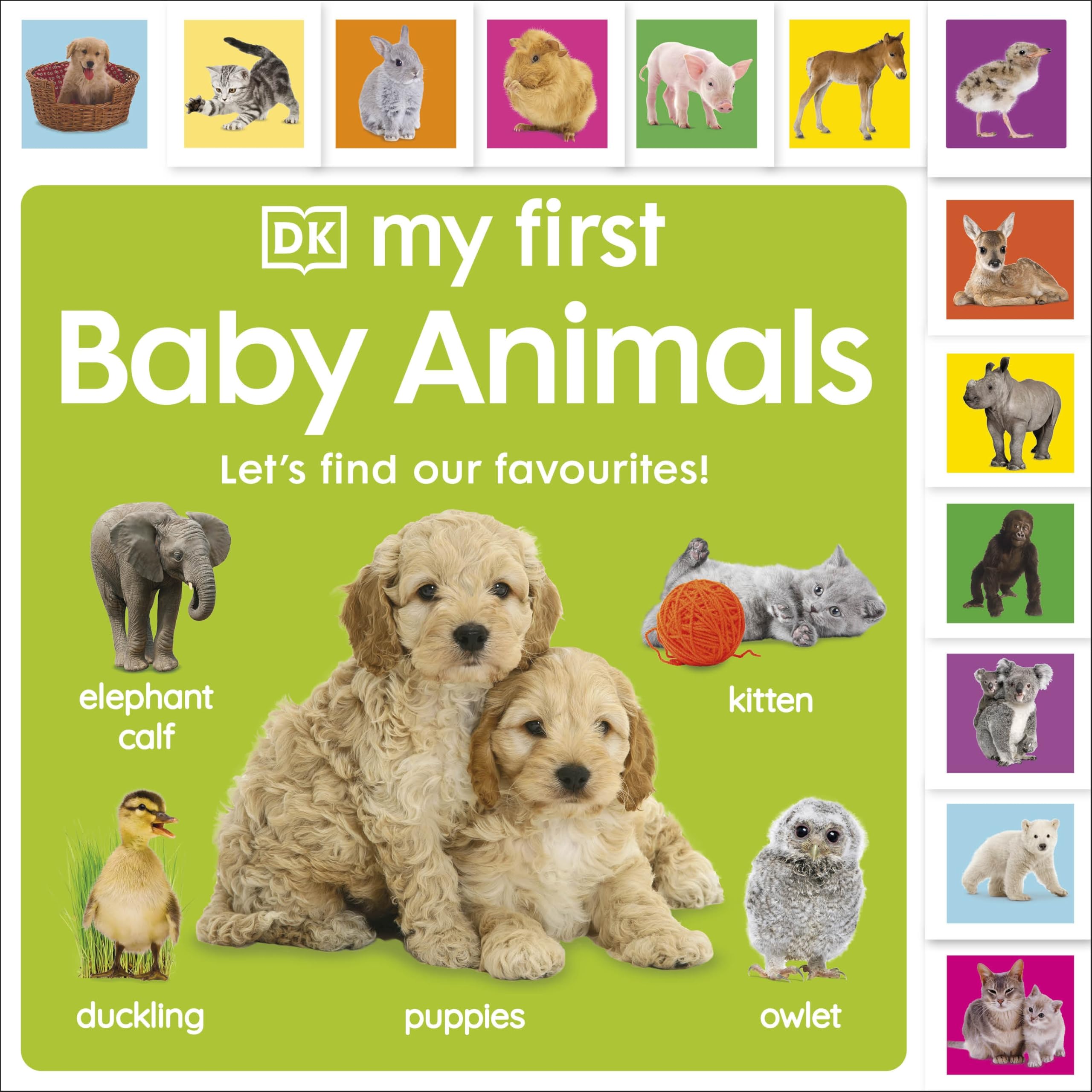 My First Baby Animals: Let's Find Our Favourites! by DK (Board book)