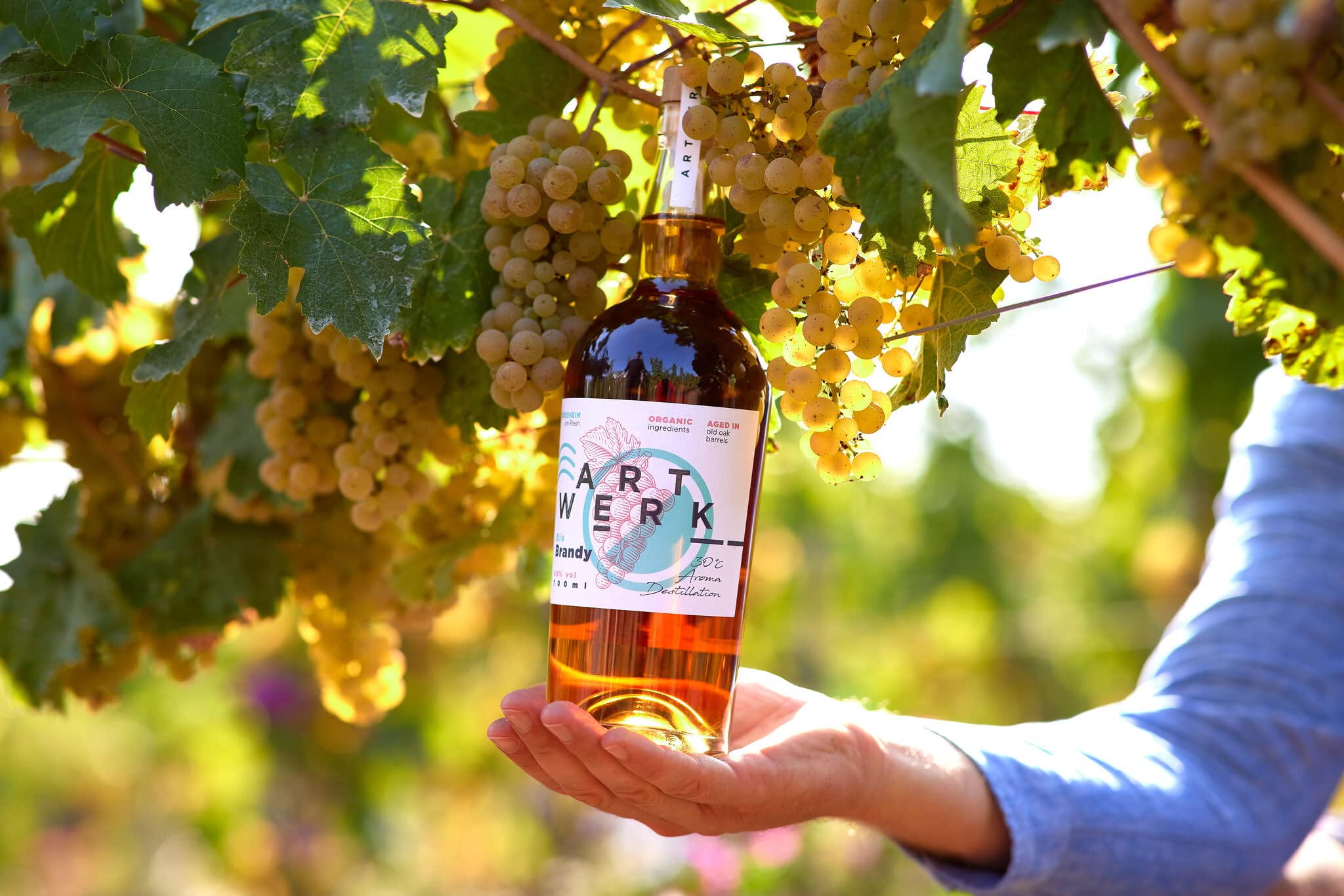 ARTWERK | Brandy | Master Edition | Reifung in alten Eichenholzfässern | Beste Bio-Traubenqualität | Category Gewinner & Gold World Brandy Awards 2022 | Gold IWSC 2024 | 40% vol. | 700ml