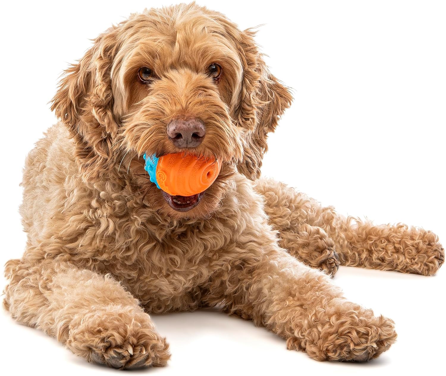 GURU Pet: Crunch & Squeak Ball - 2 Pack - Dog Toys, Bright Yellow-Blue-Orange, Durable, Interactive Sound & Textured Sensory Play, Floats, Fetch, Roll