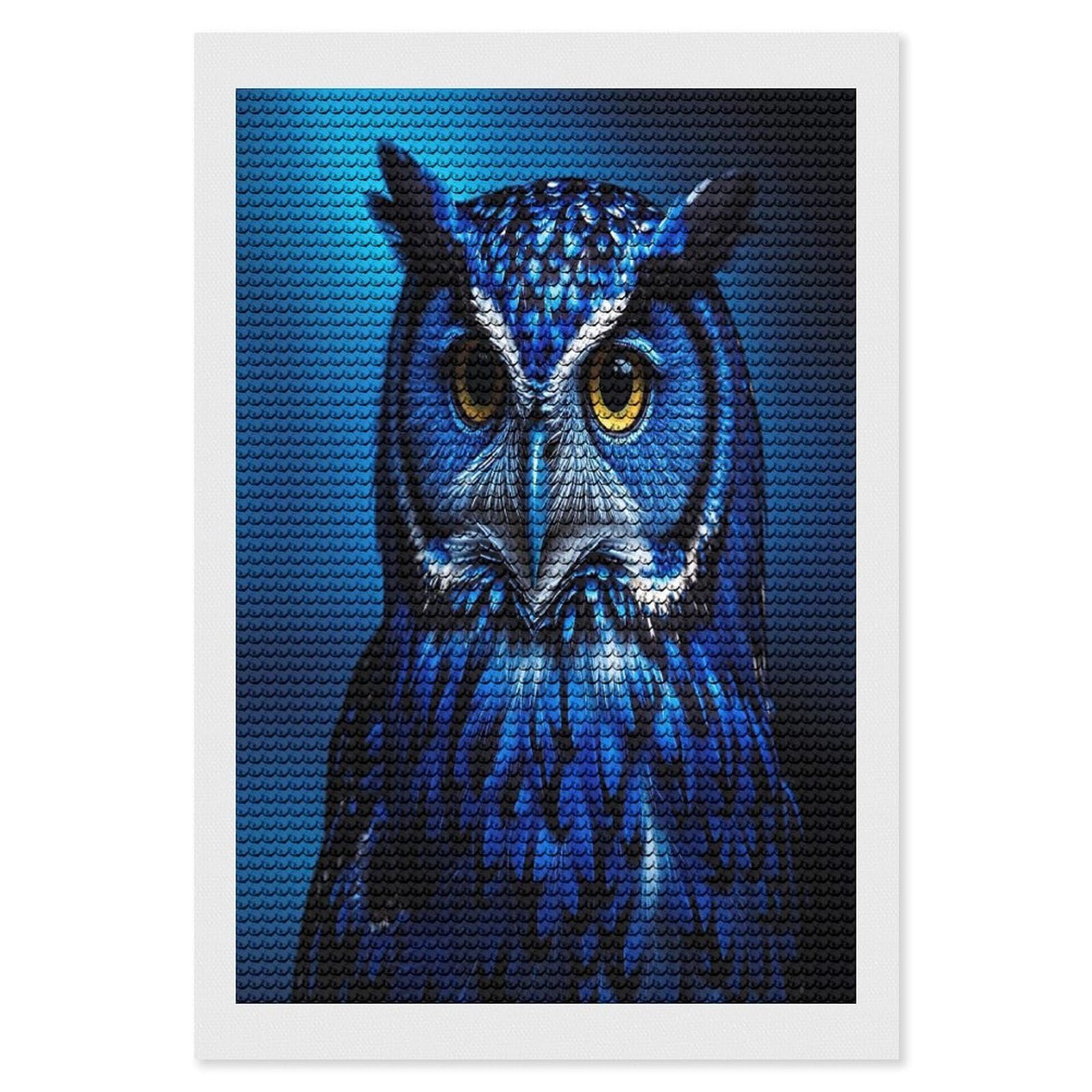 FekiLoot Blue Owl Diamond Painting Kits for Beginners DIY Diamond Art Kits for Adults Full Drill Round Diamond Dot Gem Art Painting Fun DIY Crafts for Home Kitchen Wall Decor Gift 8"x12"