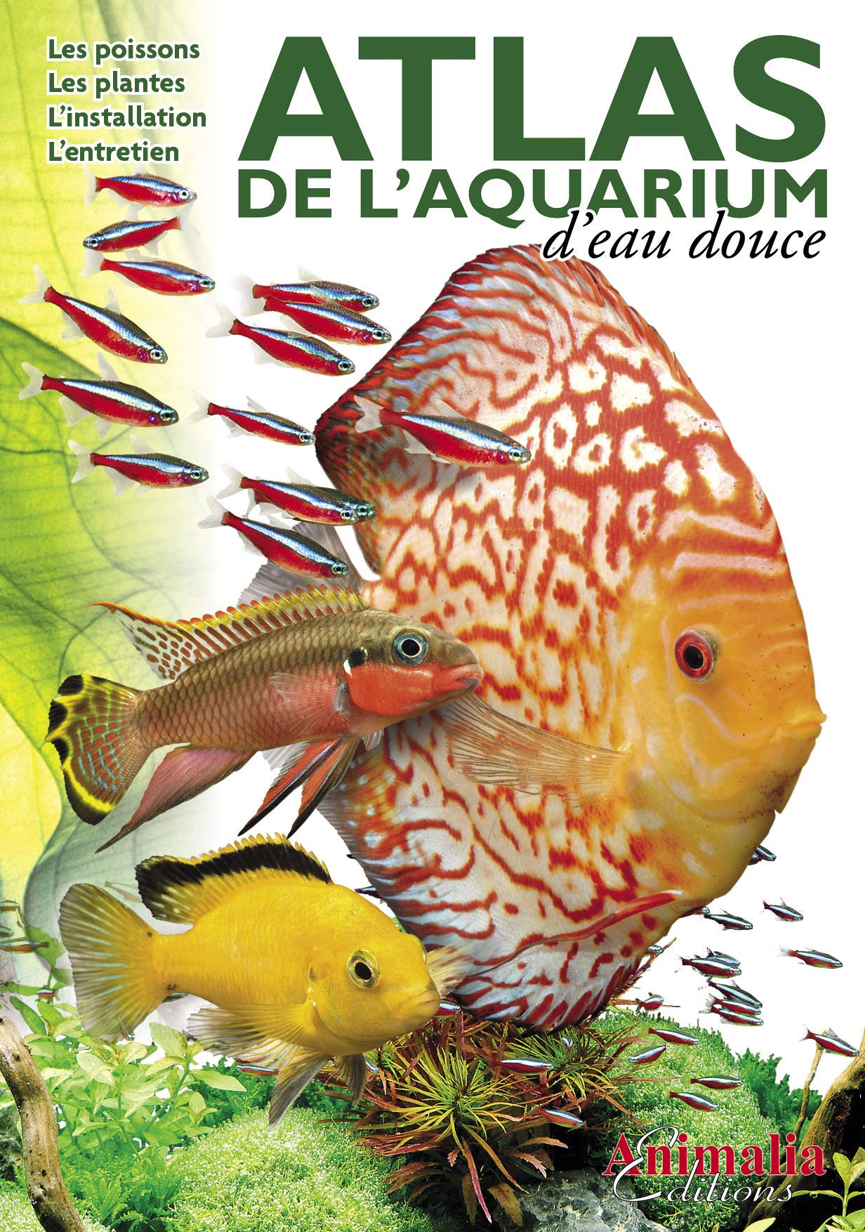 Atlas De L Aquarium D Eau Douce Amazon.in: Buy Atlas de l'aquarium d'eau douce Book Online at Low Prices in  India | Atlas de l'aquarium d'eau douce Reviews & Ratings
