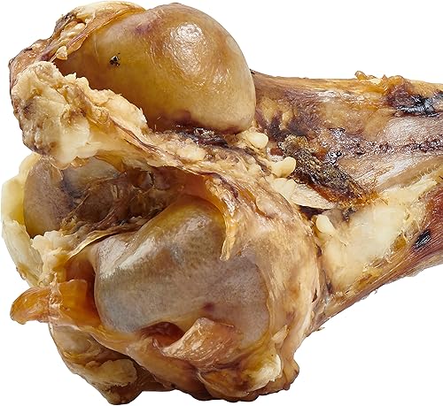 Miniatura 6 de EcoKind Hueso de fémur gigante para perros | 1 hueso | Huesos de perro de mamut de larga duración para masticadores agresivos, golosinas saludables