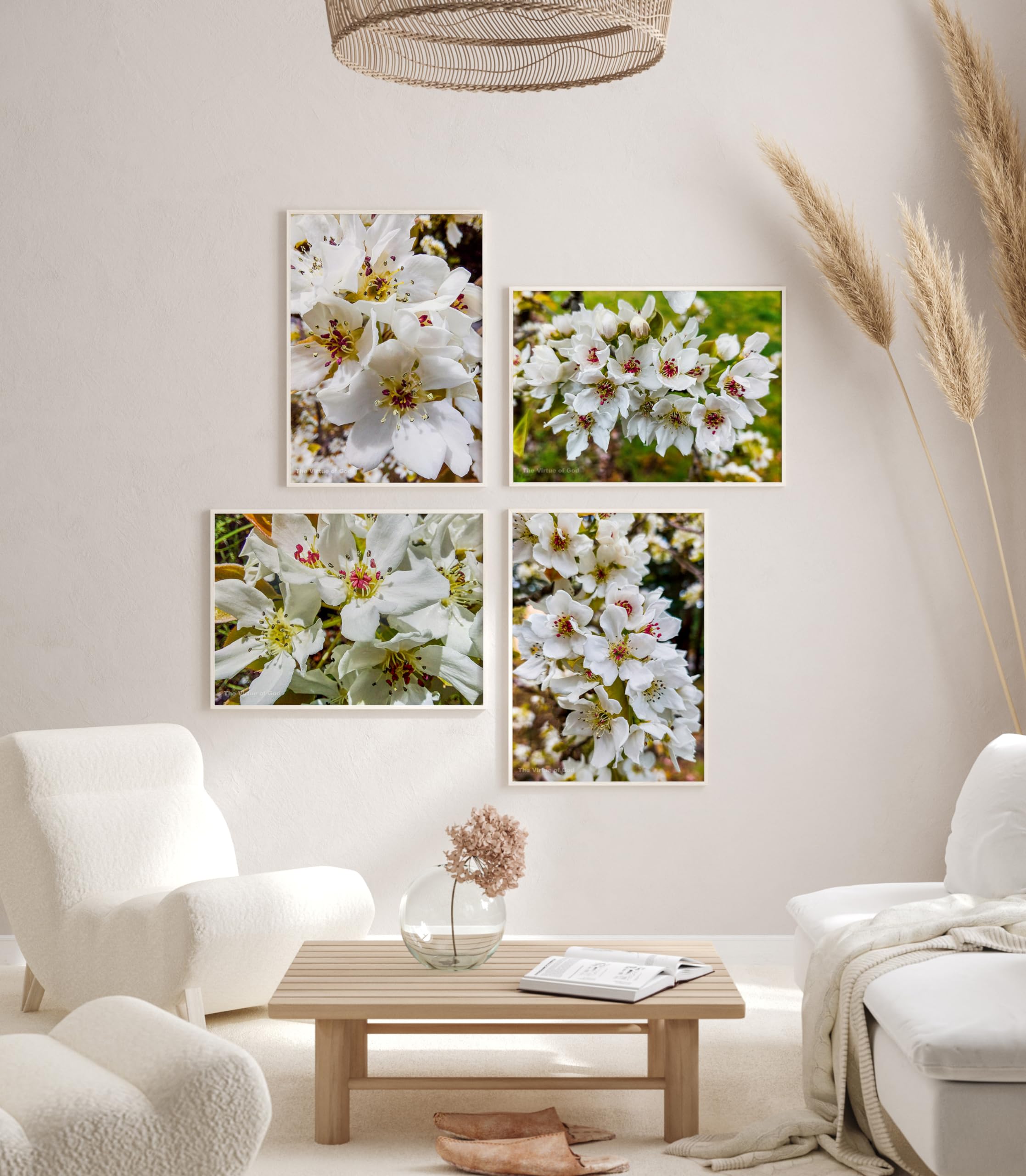 The Virtue of God–Authentic Nature Closeup Photography–Spring Cherry White Flowers-Unframed Canvas Vertical Horizontal 4 Prints Set–Modern Wall Art Home Office Decor Floral Pictures (8 x 10)