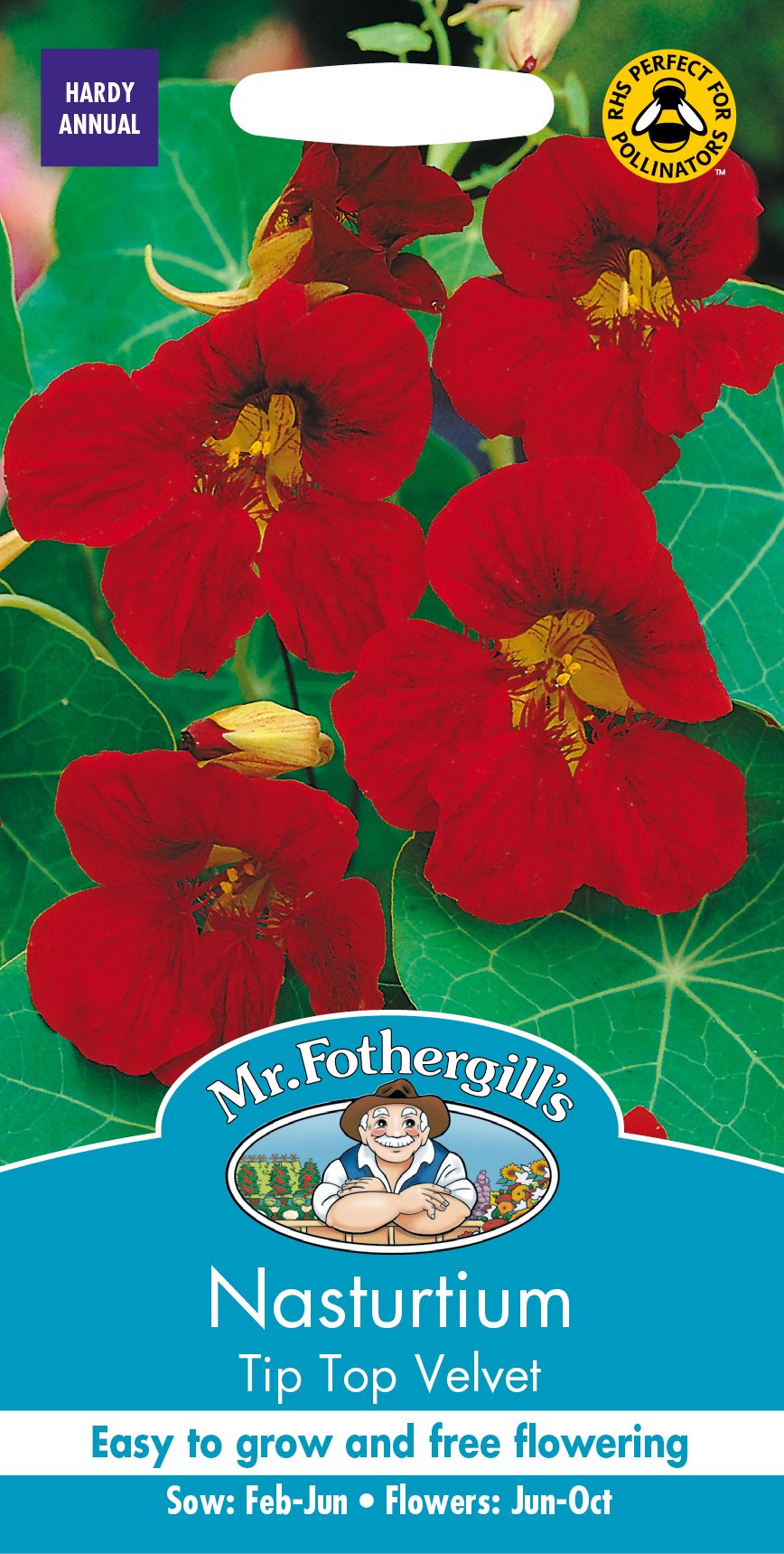Mr. Fothergill's Nasturtium Tip Top Velvet Flower Seeds