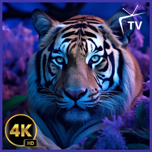 Bengalischer Tiger Screensaver - Ruhige Dschungelklänge für Entspannung und Schlaf.