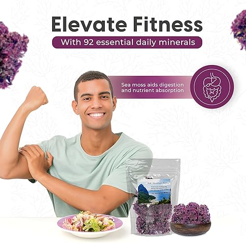 Miniatura 4 de Musgo marino orgánico morado certificado silvestre cosechado de Santa Lucía  Grado Dr. Sebi  Calidad prístina poderosos antioxidantes, vitaminas,