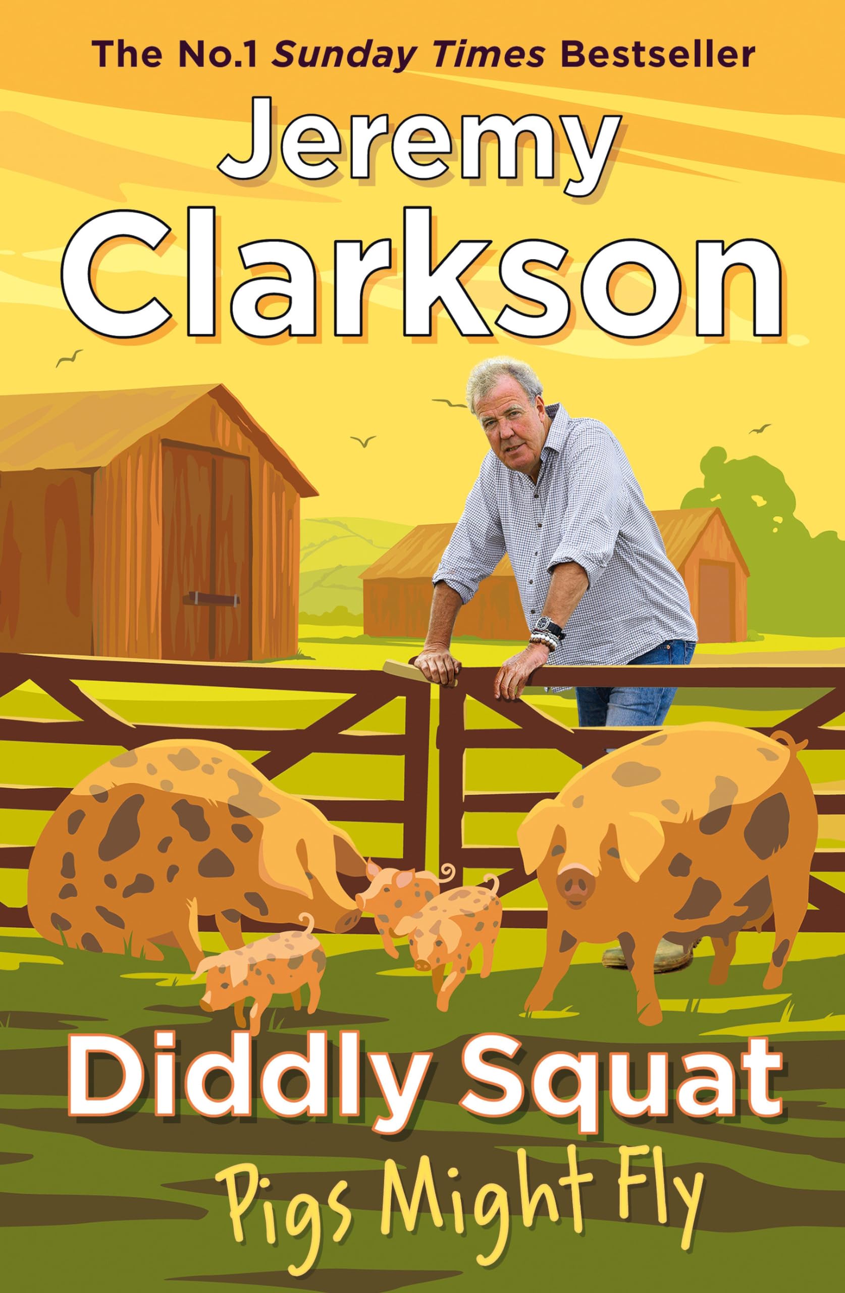 Diddly Squat: Pigs Might Fly: 3 (Diddly Squat, 3)