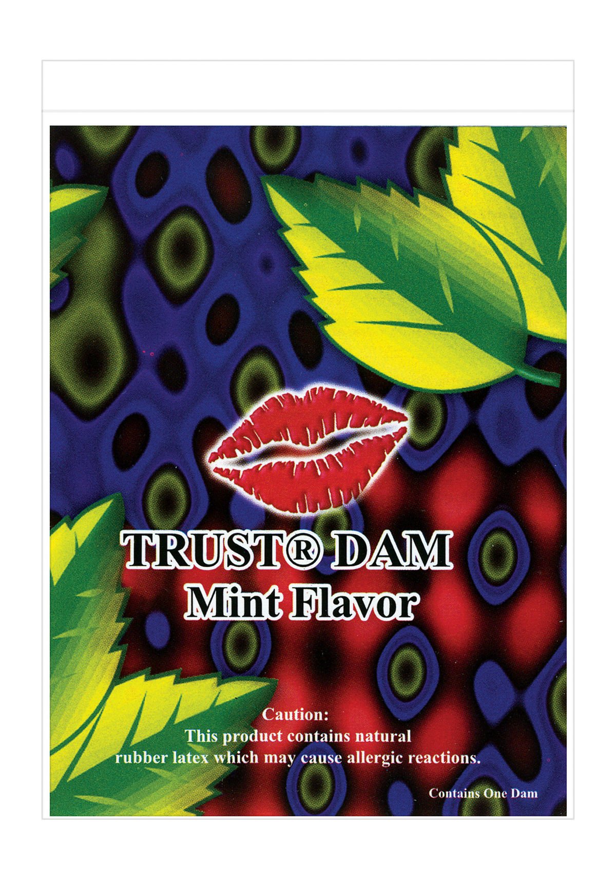 Amazon.com: Dental Dam Mint : Health & Household