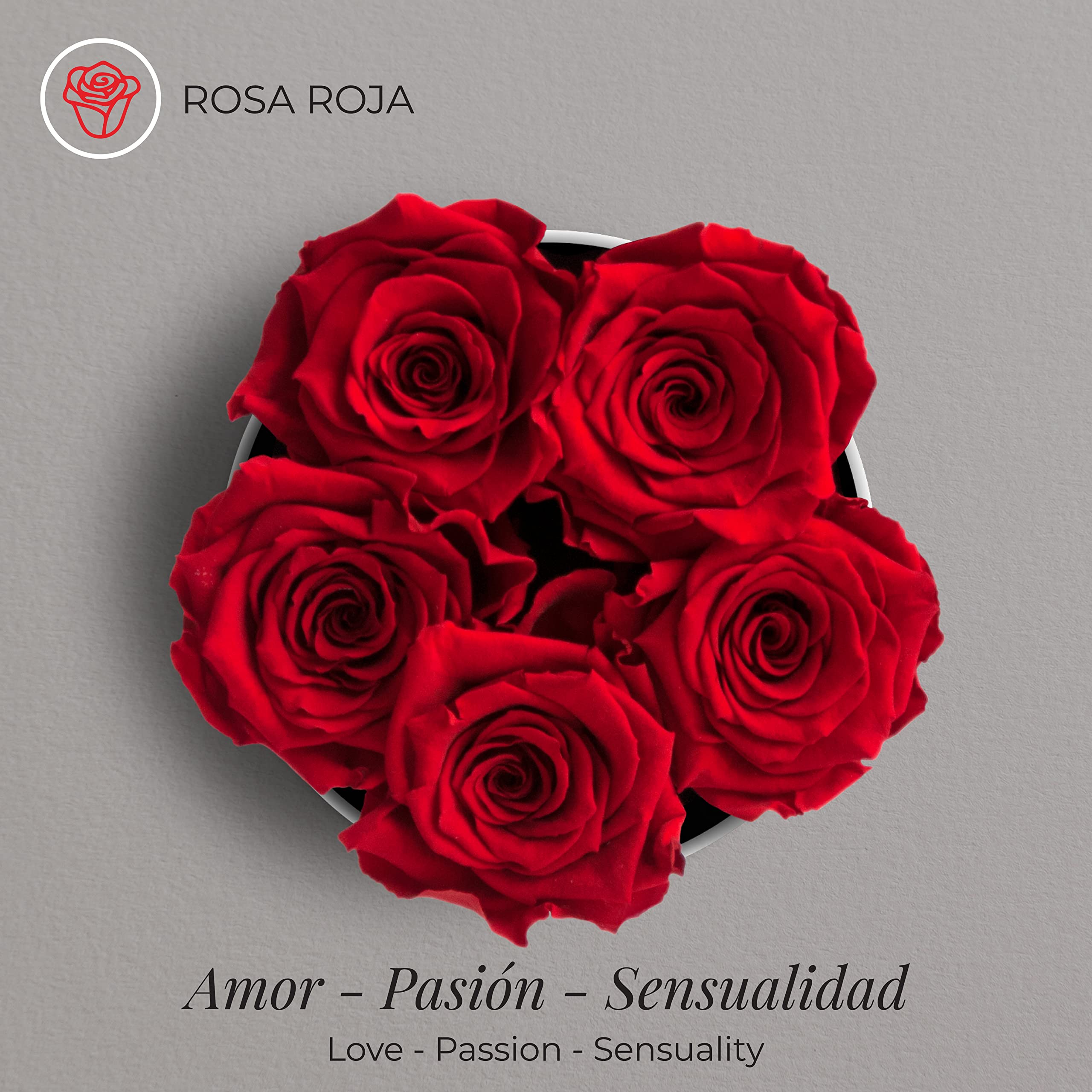 Amoroses Petite - Caja de Regalo 5 Rosas Eternas Estabilizadas - Elegante Ramo de Flores Reales | Idea de regalo (Petite Caja Blanca con Rosas Rojas)