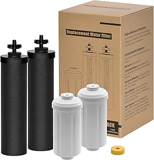 Black and Fluoride Water Filter Replacement Kit Compatible with Royal Berkey Water Filter System, 2 Pcs Black BB9-2 Filters and 2 Pcs PF-2 Fluoride Filters for Berkey Water Filters Replacement
