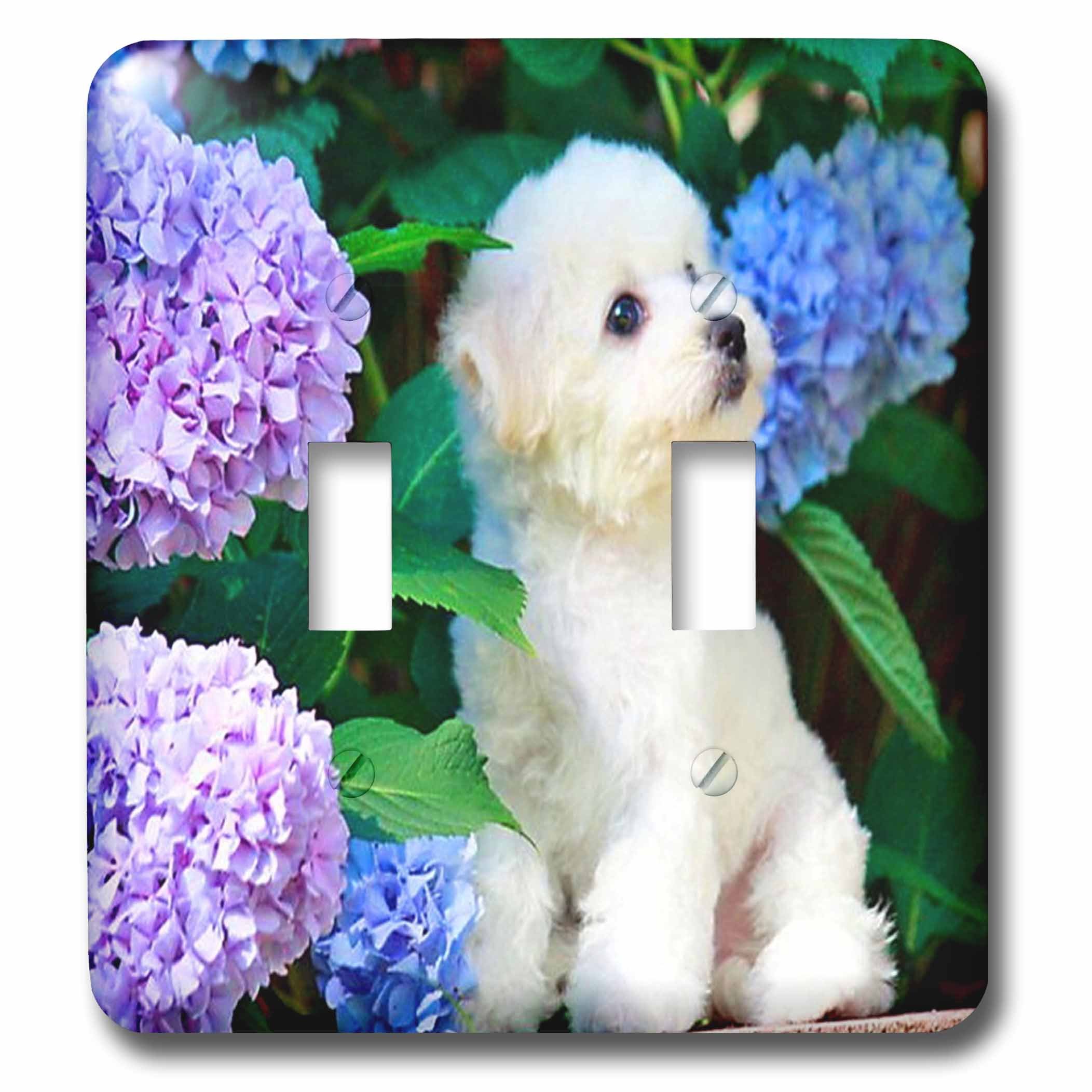 Bichon frisé interrupteur double pour créer une ambiance bucolique