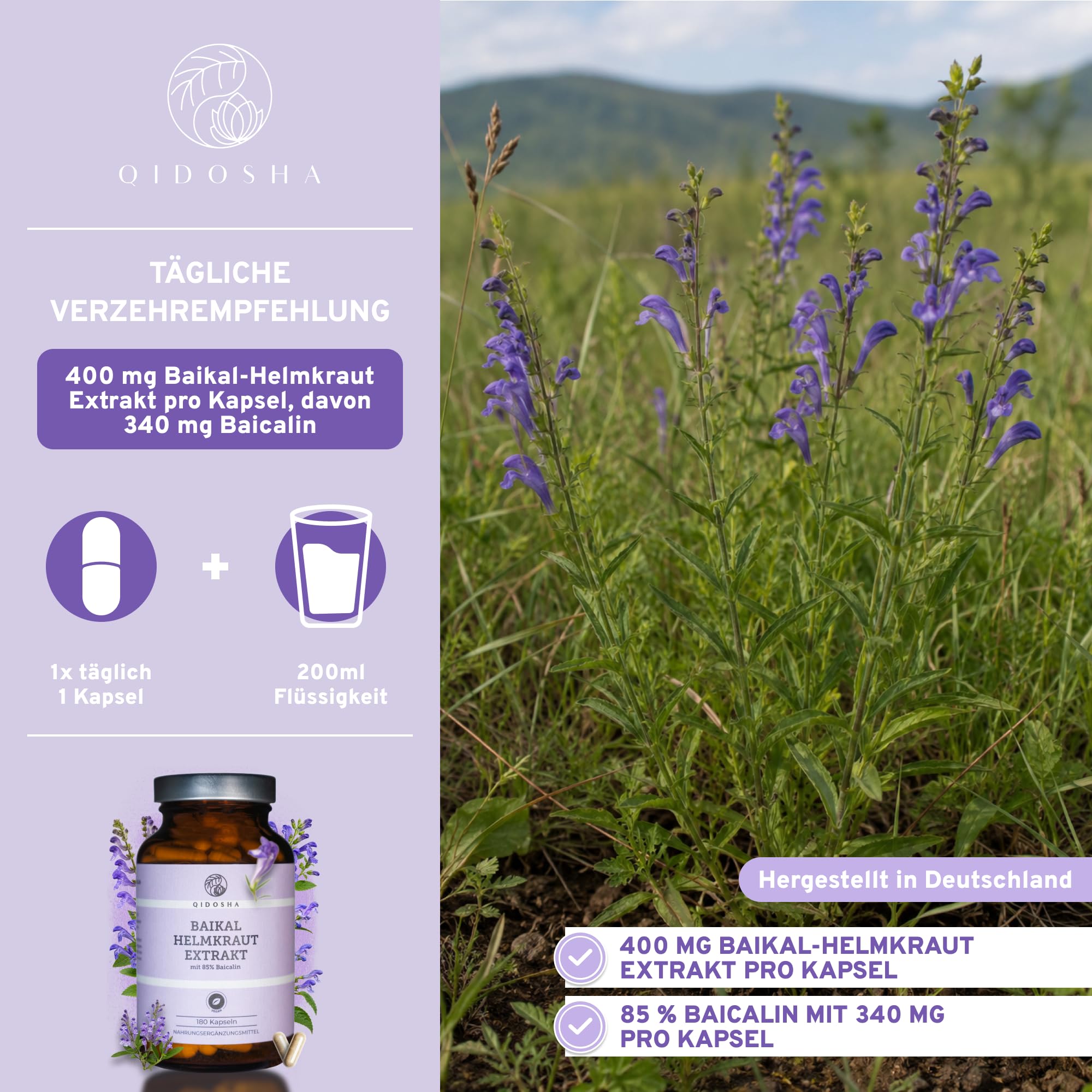 QIDOSHA® Baikal Helmkraut Extrakt mit einzigartigem 85% Baicalin-Gehalt - ganze 340 mg Baicalin pro Kapsel, vegan, 180 Kapseln im Apothekerglas, deutsche Fertigung, jede Charge Labor geprüft