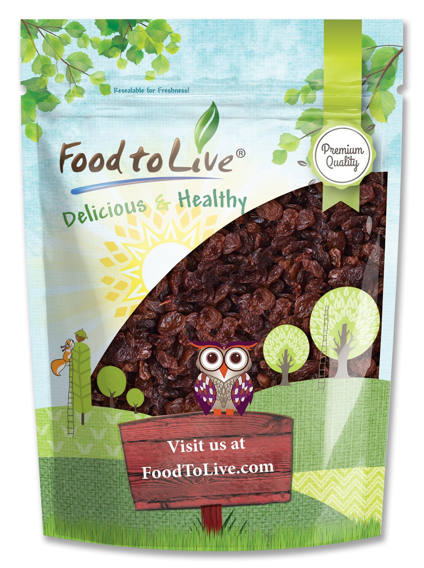 Food to Live Sultana Raisins, 12 Ounces – Natural Dried Grapes for Baking, Snacking, and Trail Mixes.Vegan, Bulk. No Sugar Added, Unsulfured, Lightly Coated with Sunflower Oil. Perfect Pantry Staple