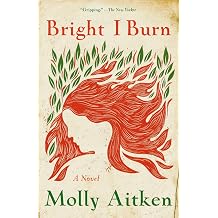 Bright I Burn A Novel