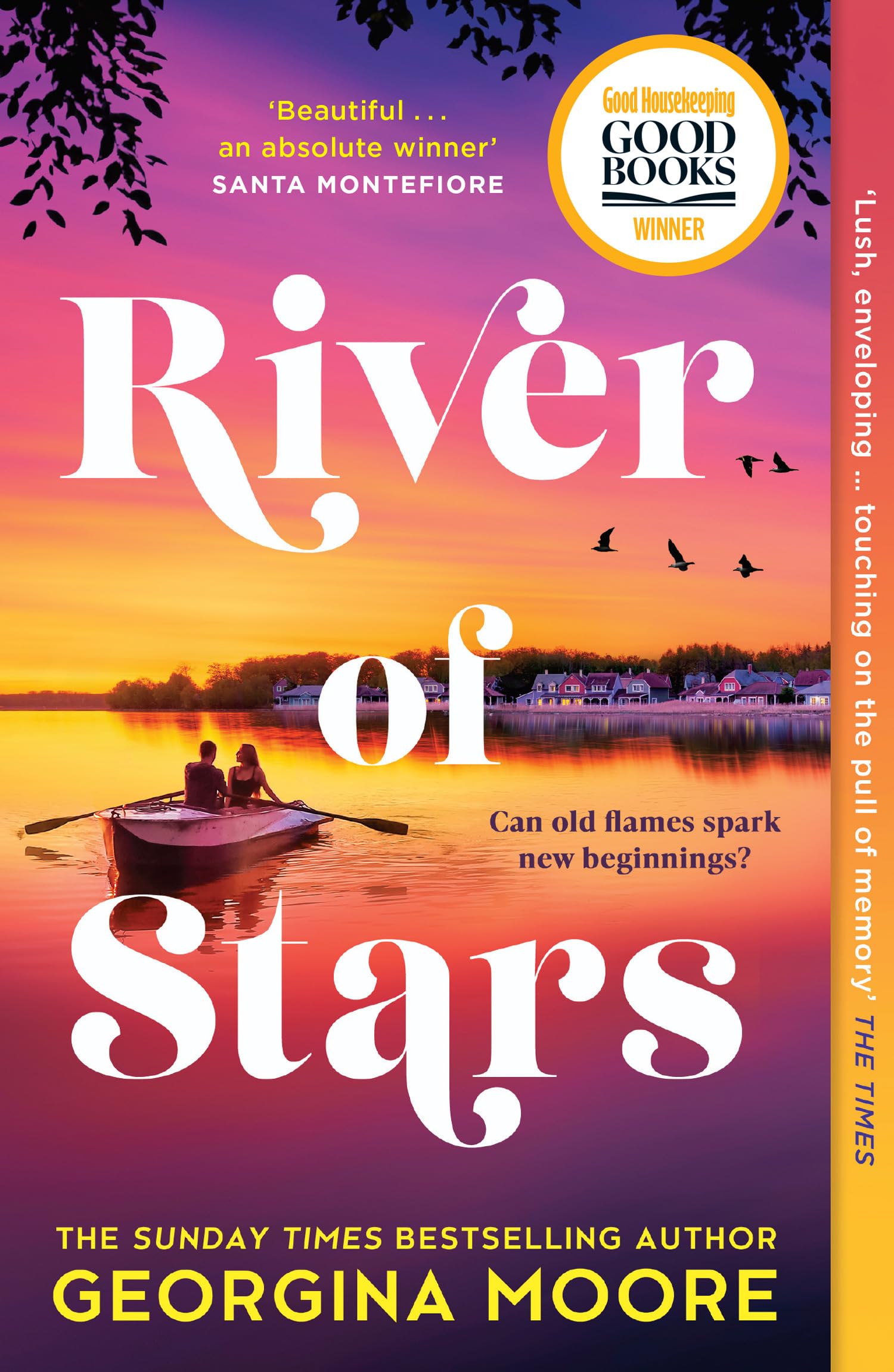 River of Stars by Georgina Moore - 9780008506421