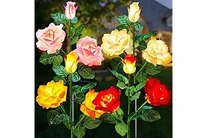 Brightown Outdoor Solar Garden Lights: Enhance Your Valentine's Decor