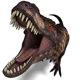 Fun for all ages Dinosaur Trivia