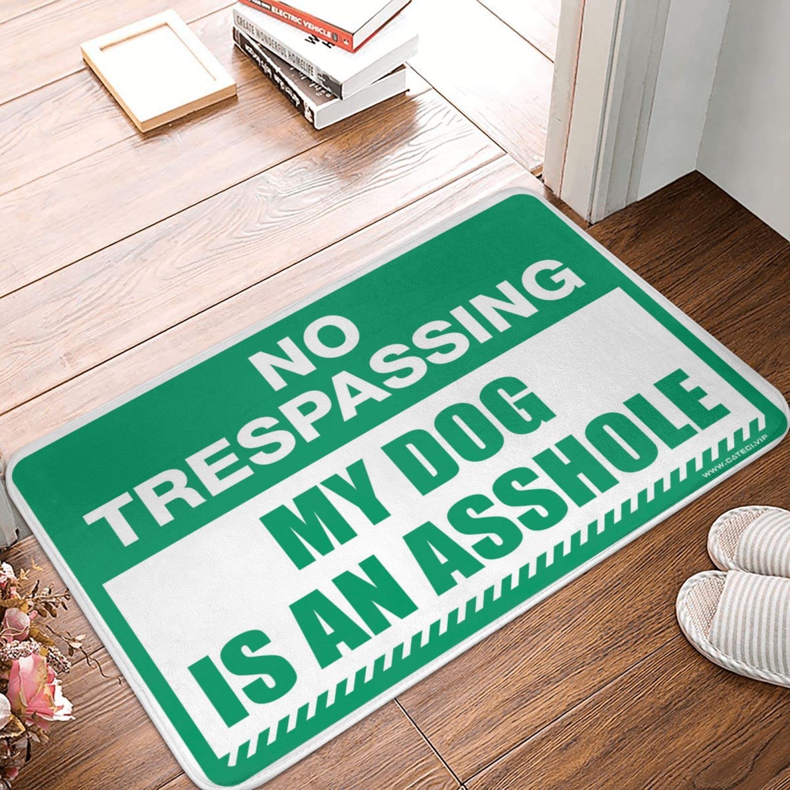Paillasson d'extérieur grand format tapis de sol humour pour stopper la boue des chiens