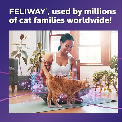 Miniatura 6 de FELIWAY® Classic 30 Day Cat Calming Refill for Pheromone Diffuser, 48ml - Helps Reduce Common Signs of Stress in Cats & Kittens, Enhanced Calming